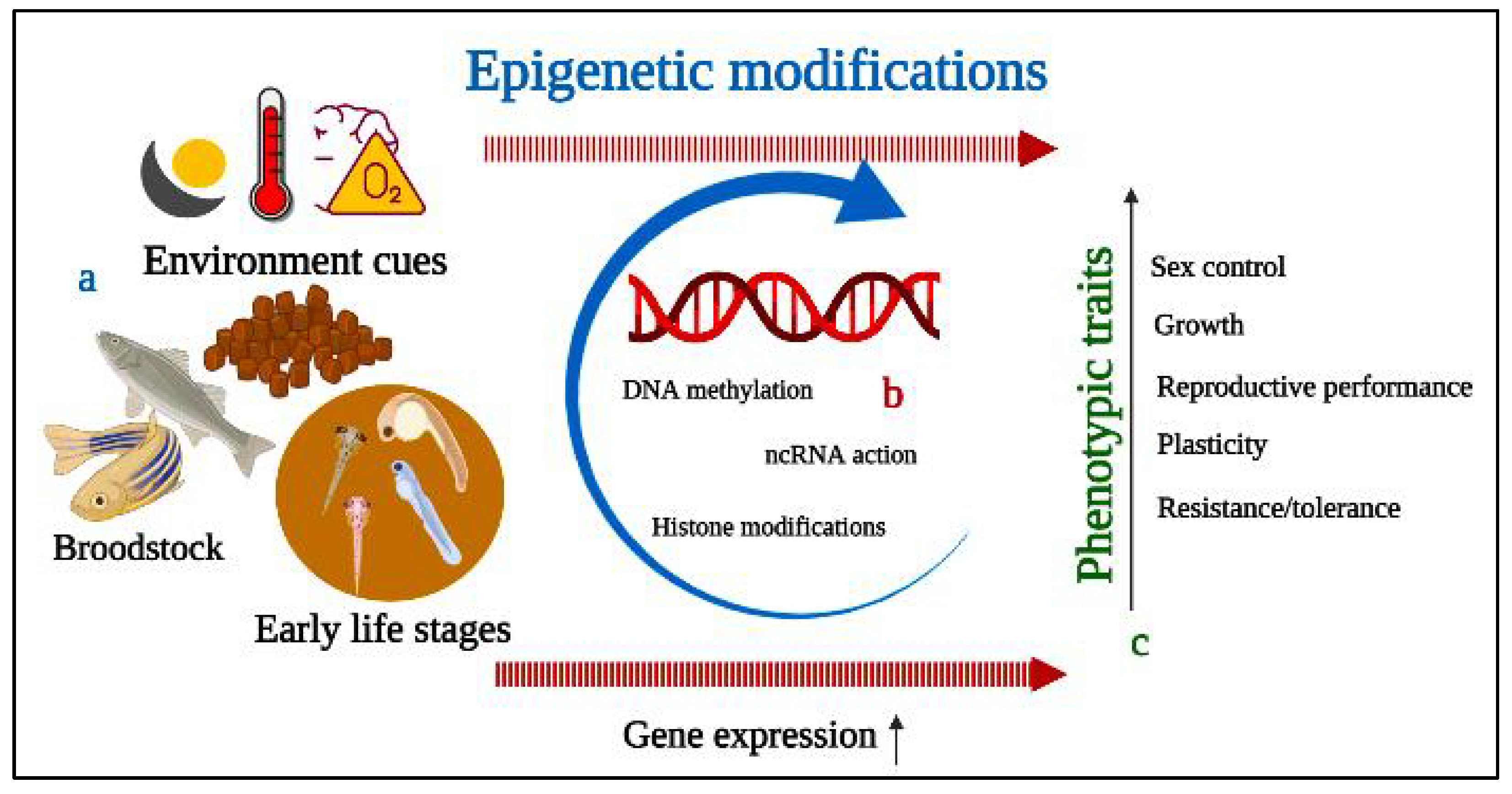 Fishes 07 00189 g004