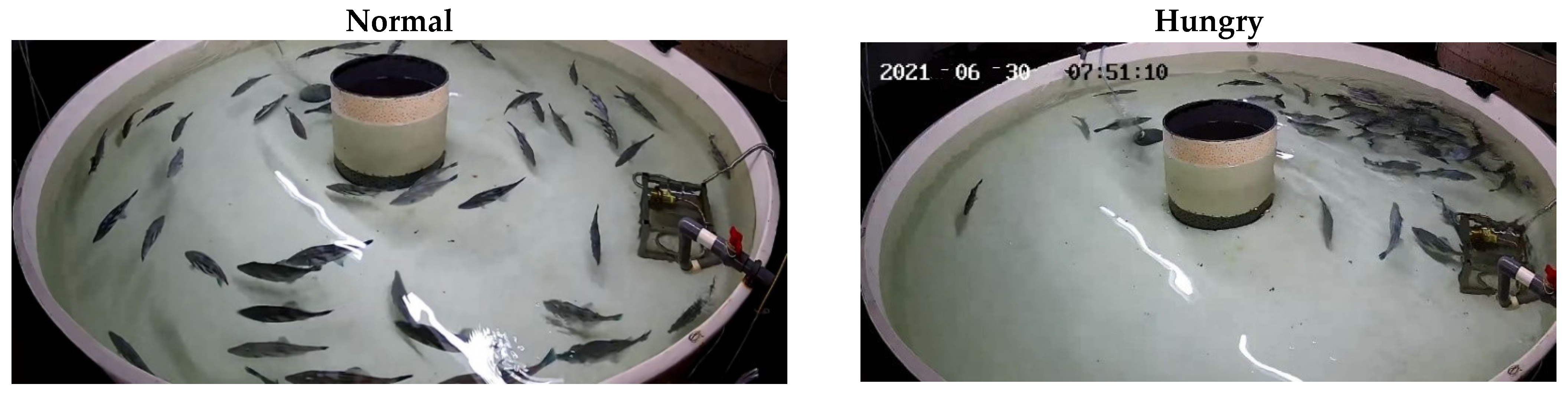 Fishes 07 00201 g001