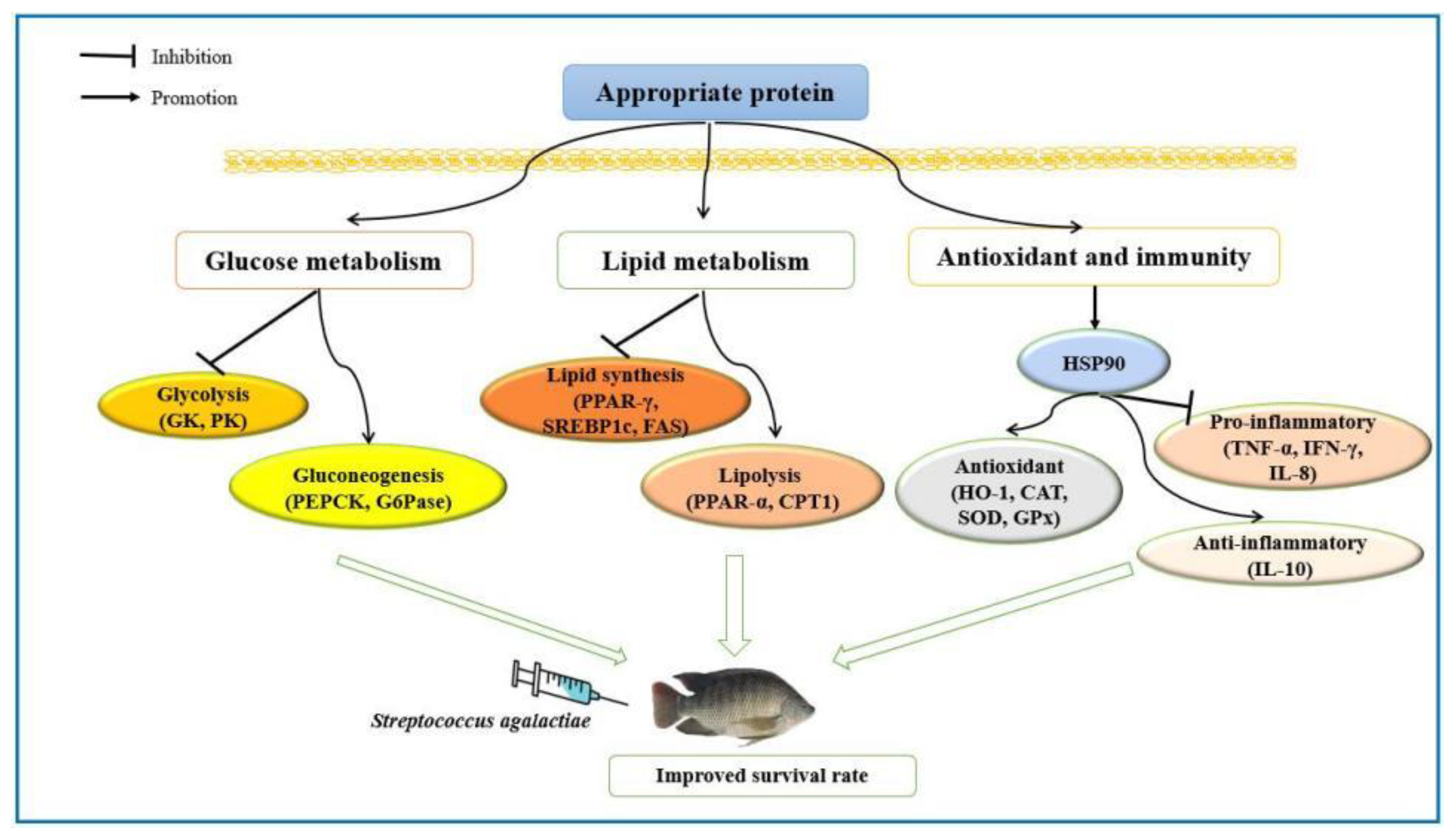 Fishes 07 00202 g006 550