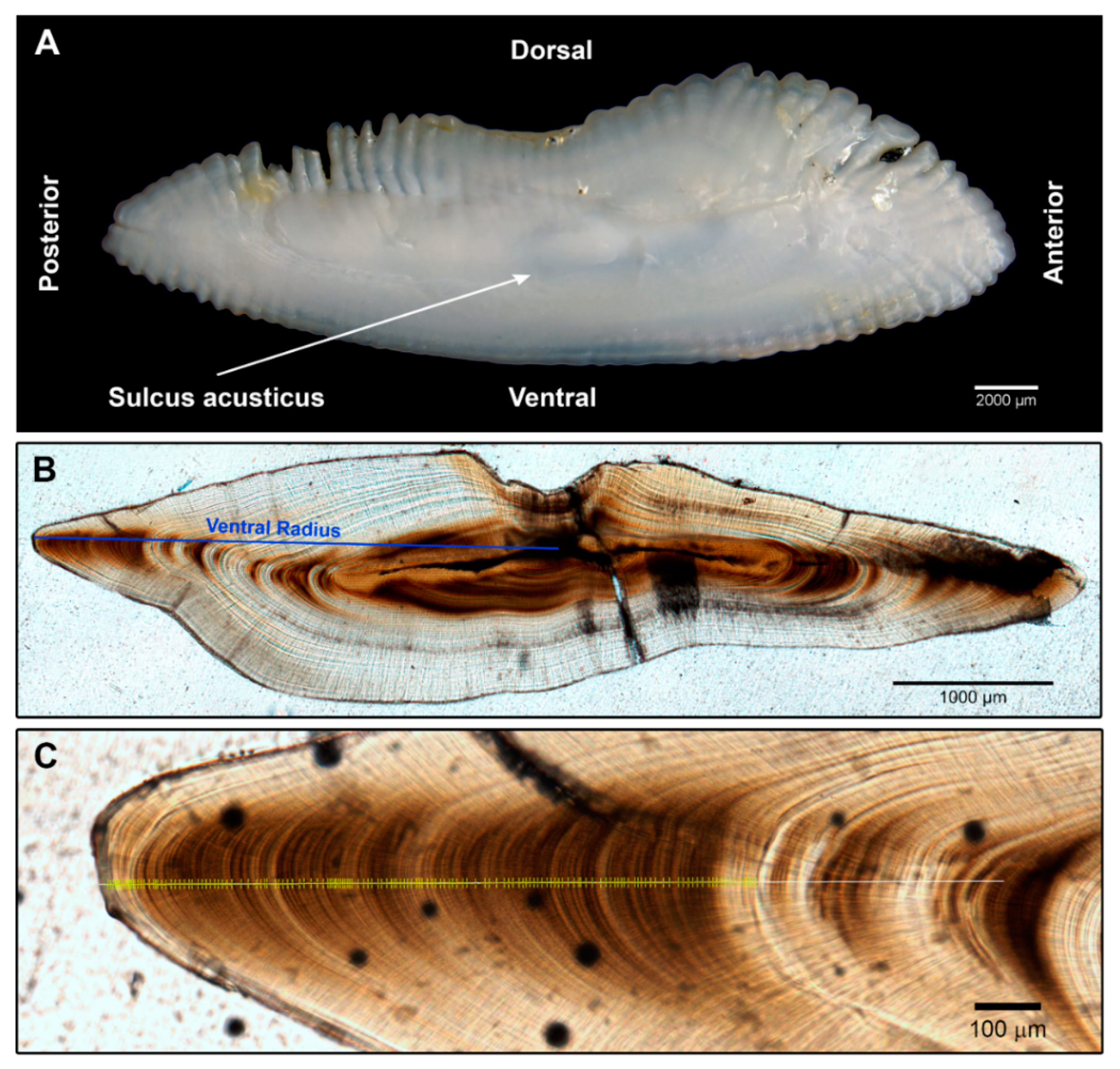 Fishes 07 00208 g002