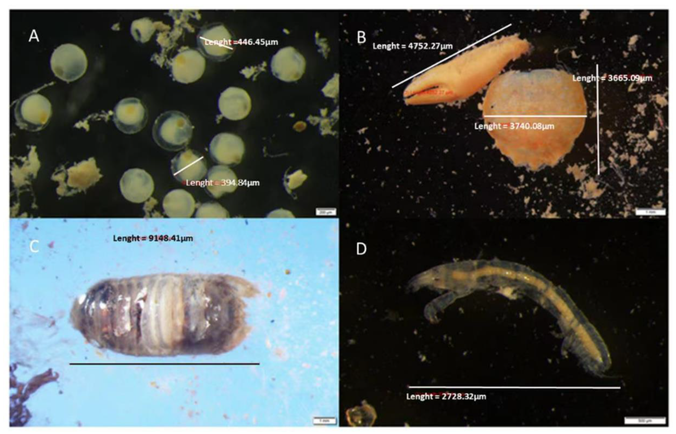 Fishes 07 00210 g003