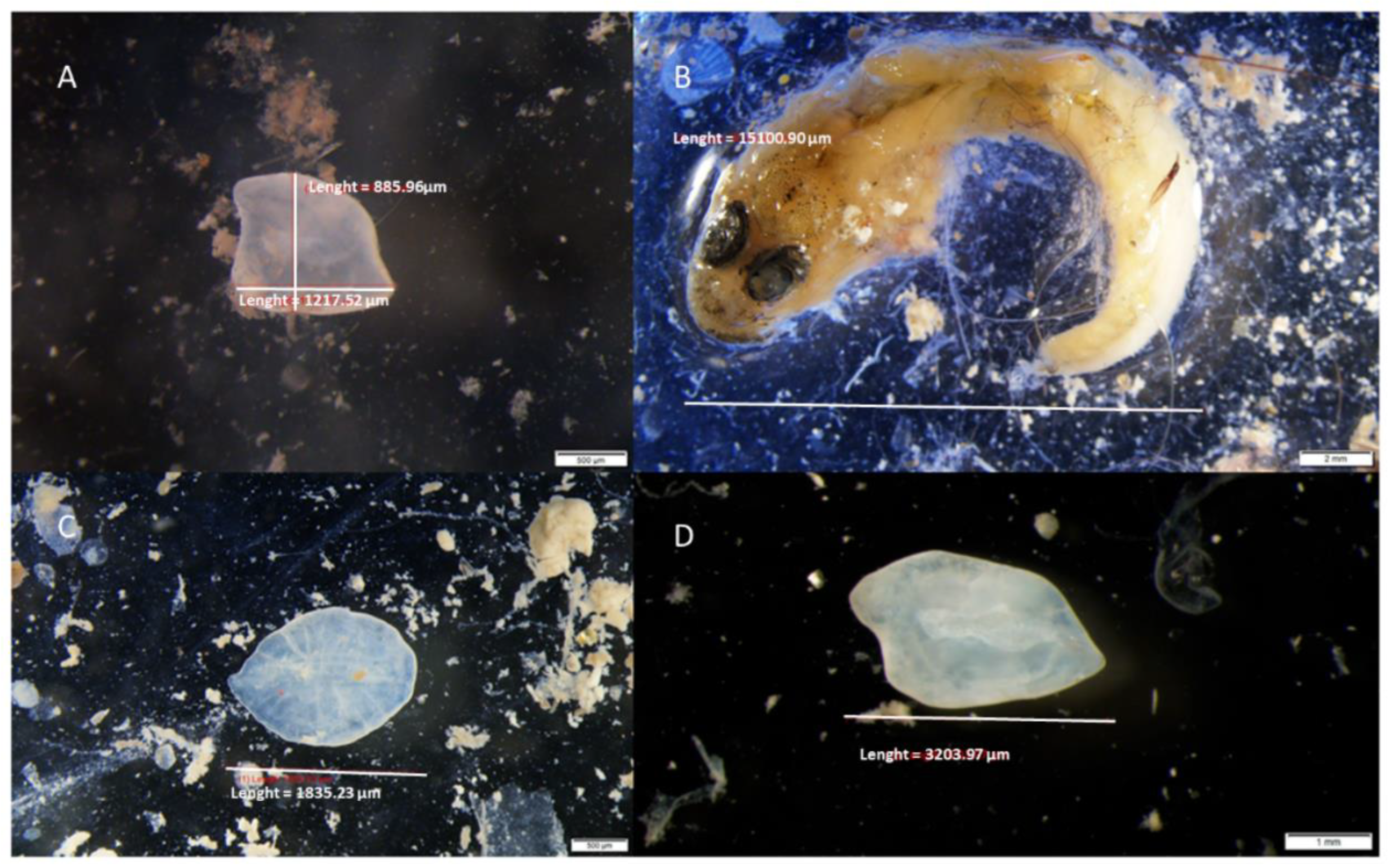 Fishes 07 00210 g004