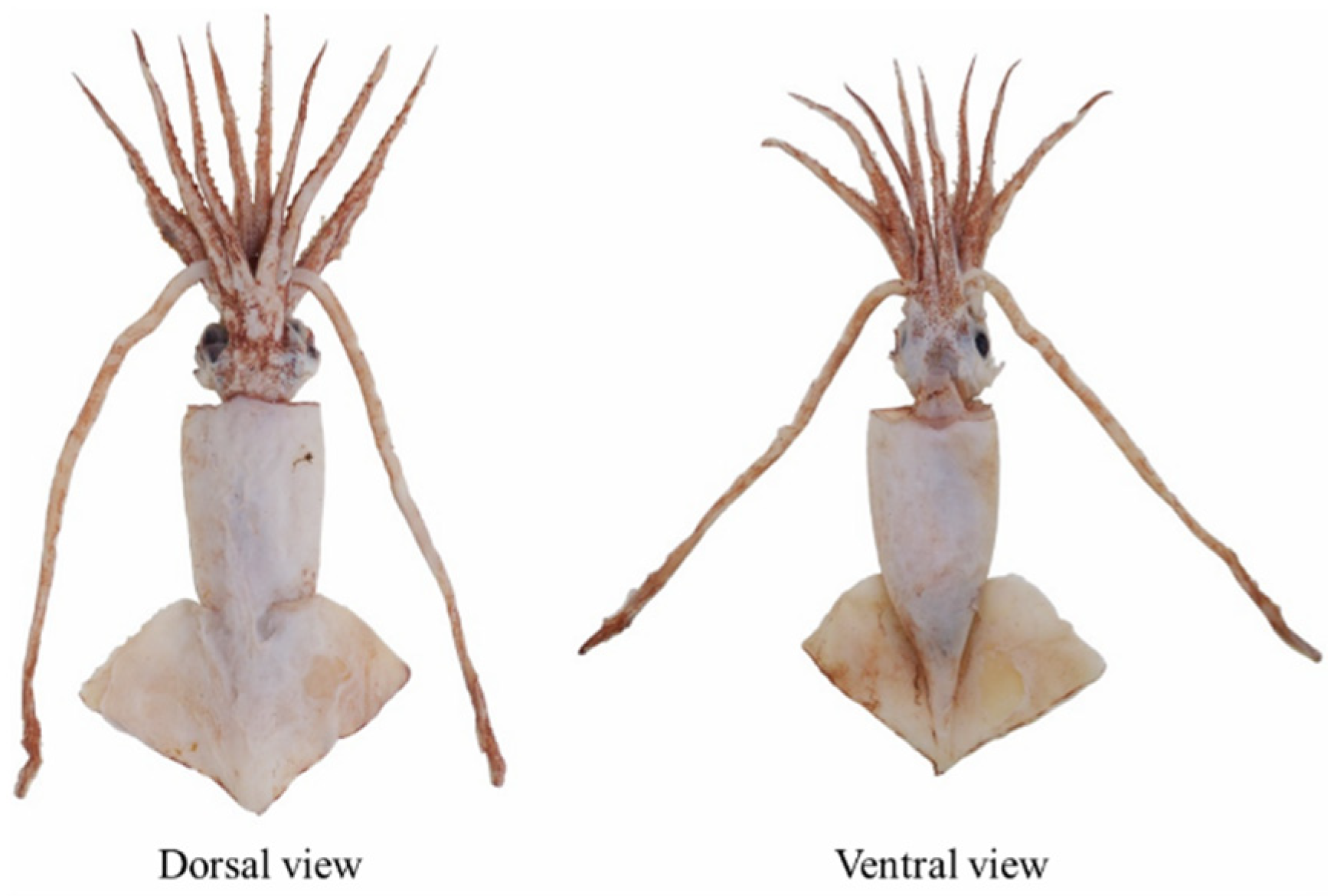 Fishes 07 00215 g001