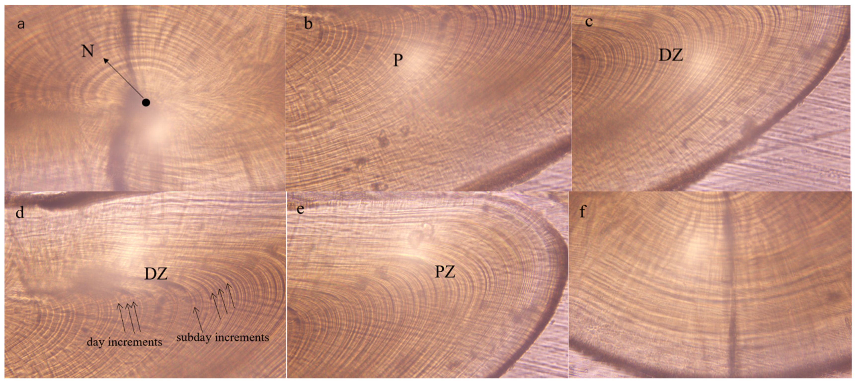 Fishes 07 00215 g003a