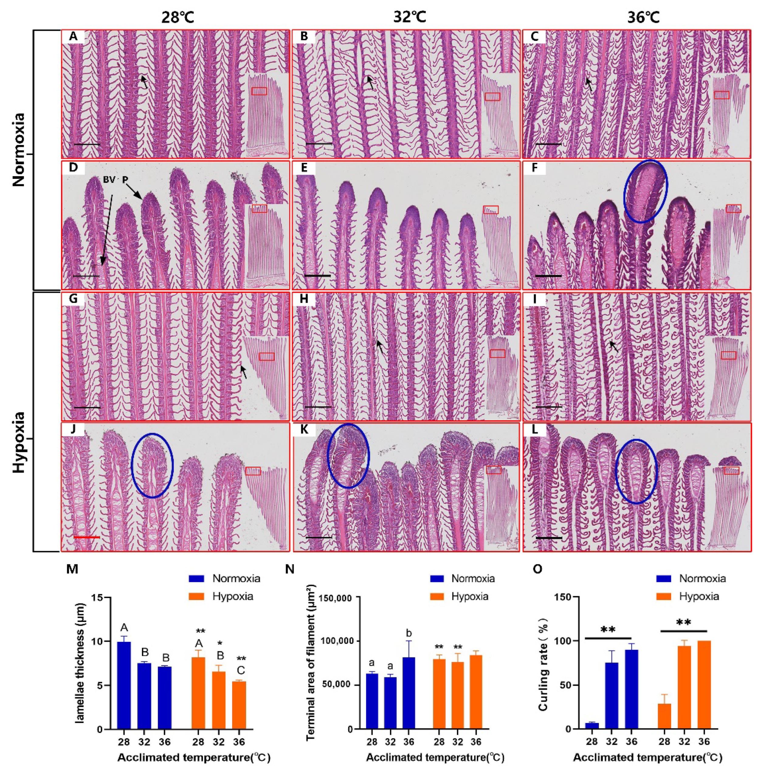 Fishes 07 00216 g002