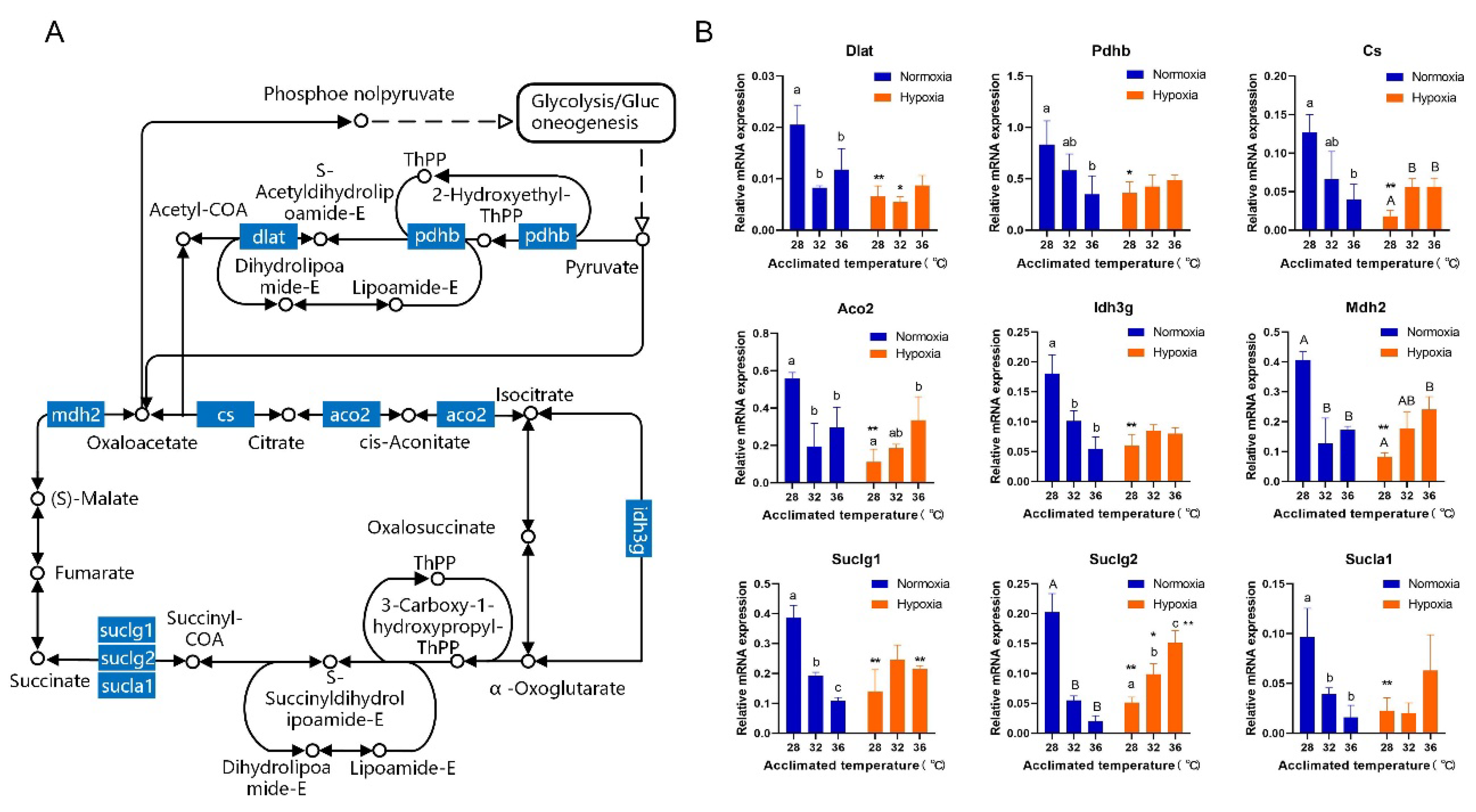 Fishes 07 00216 g004