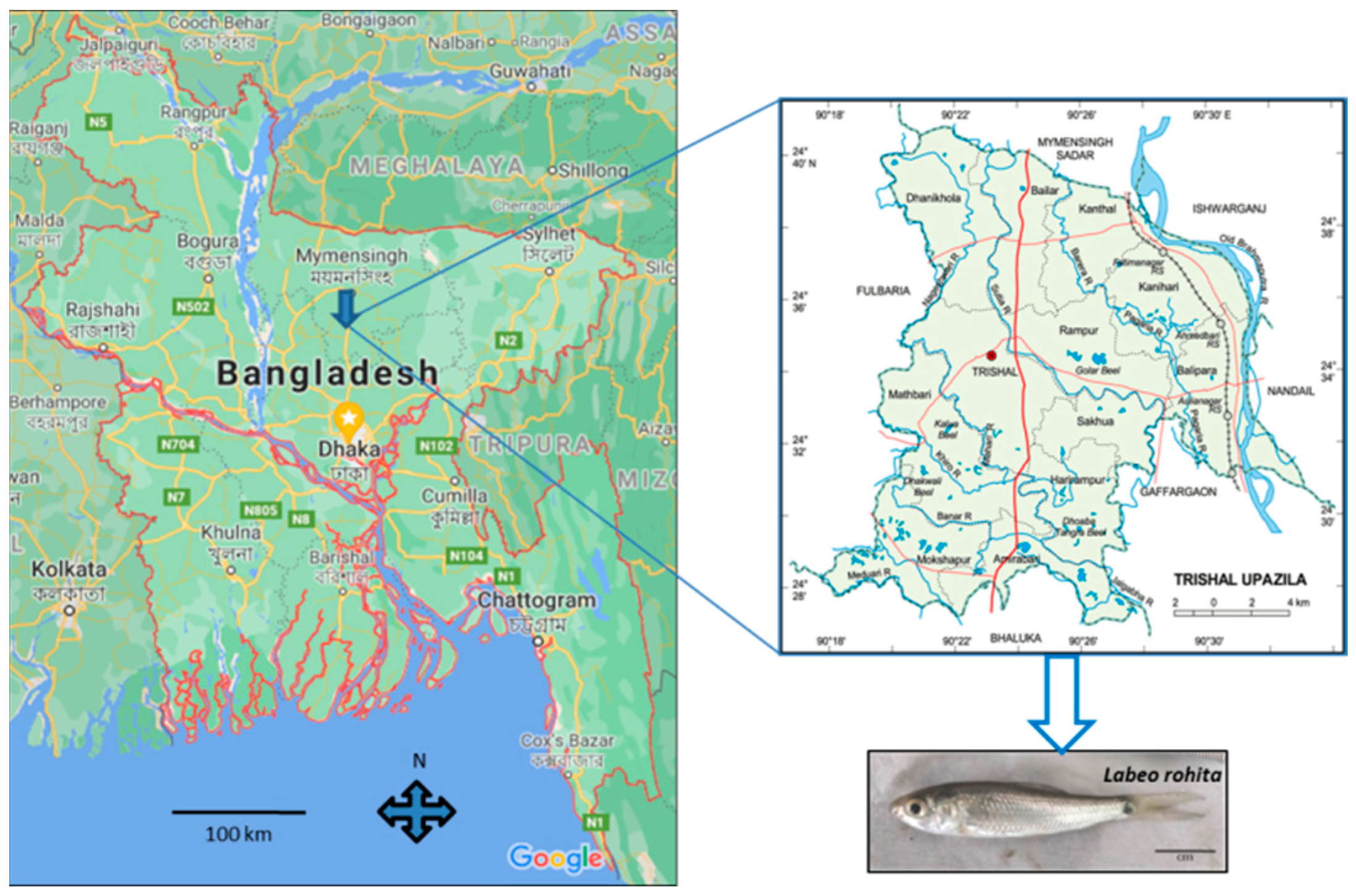 Fishes 07 00217 g001