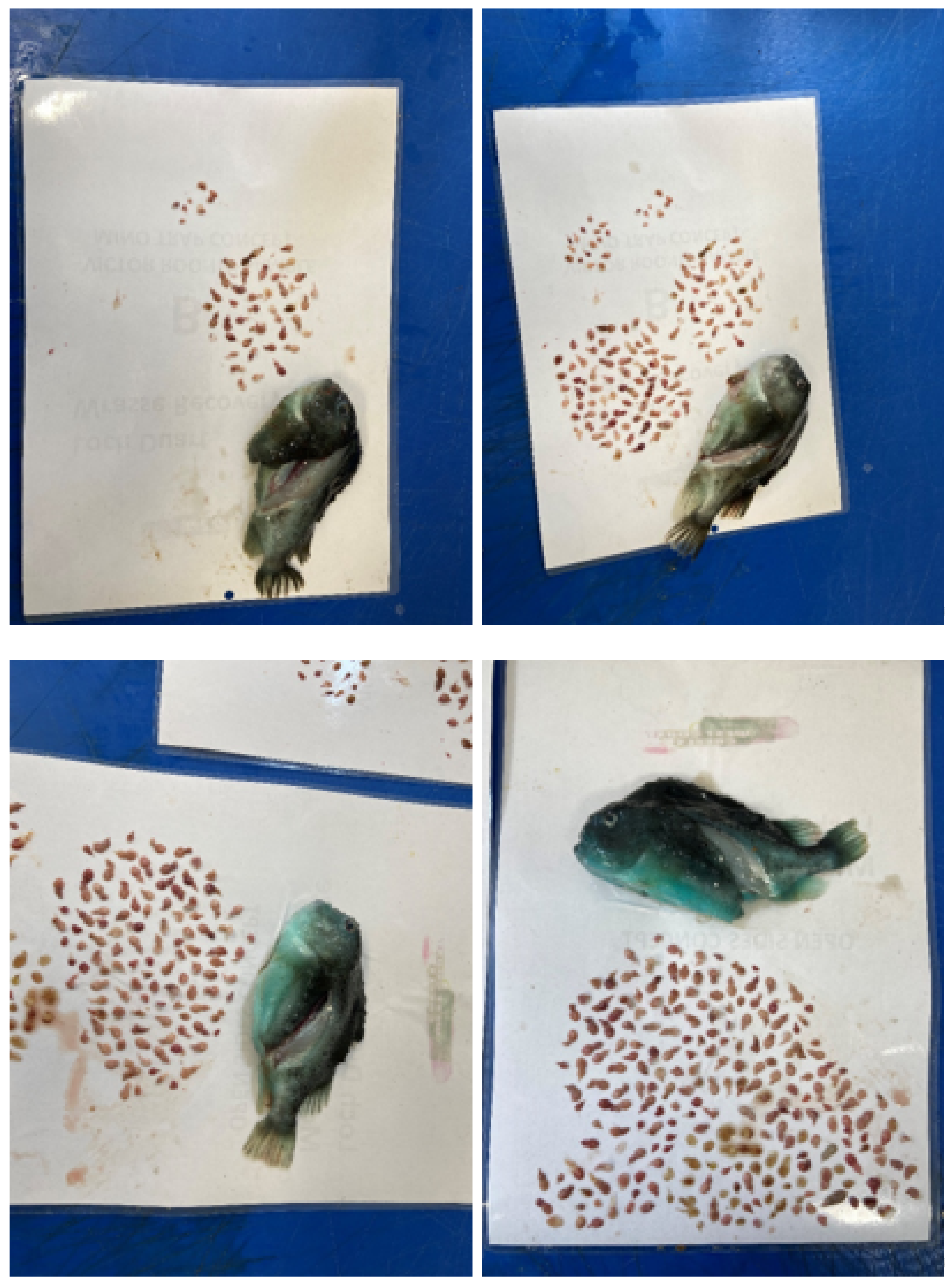 Fishes 07 00220 g008