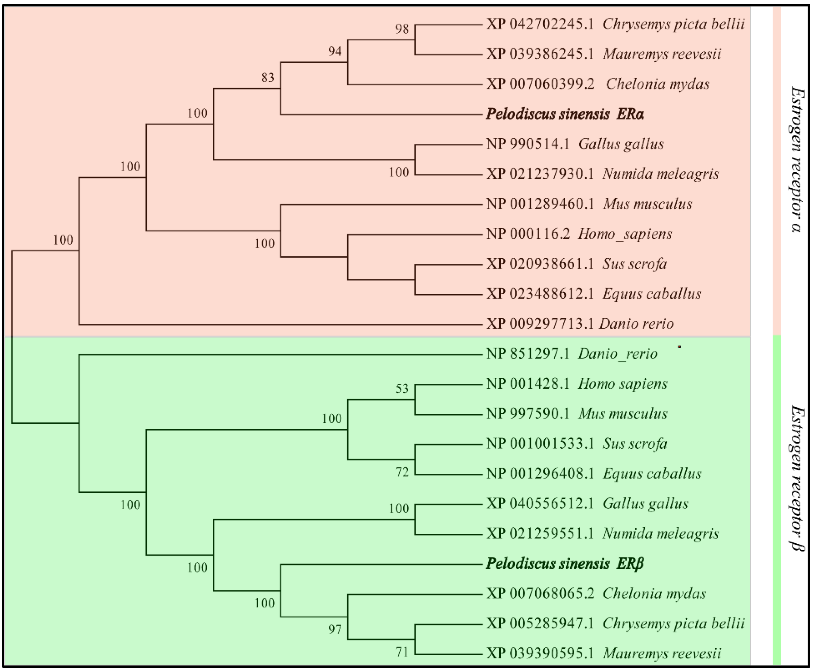 Fishes 07 00223 g002