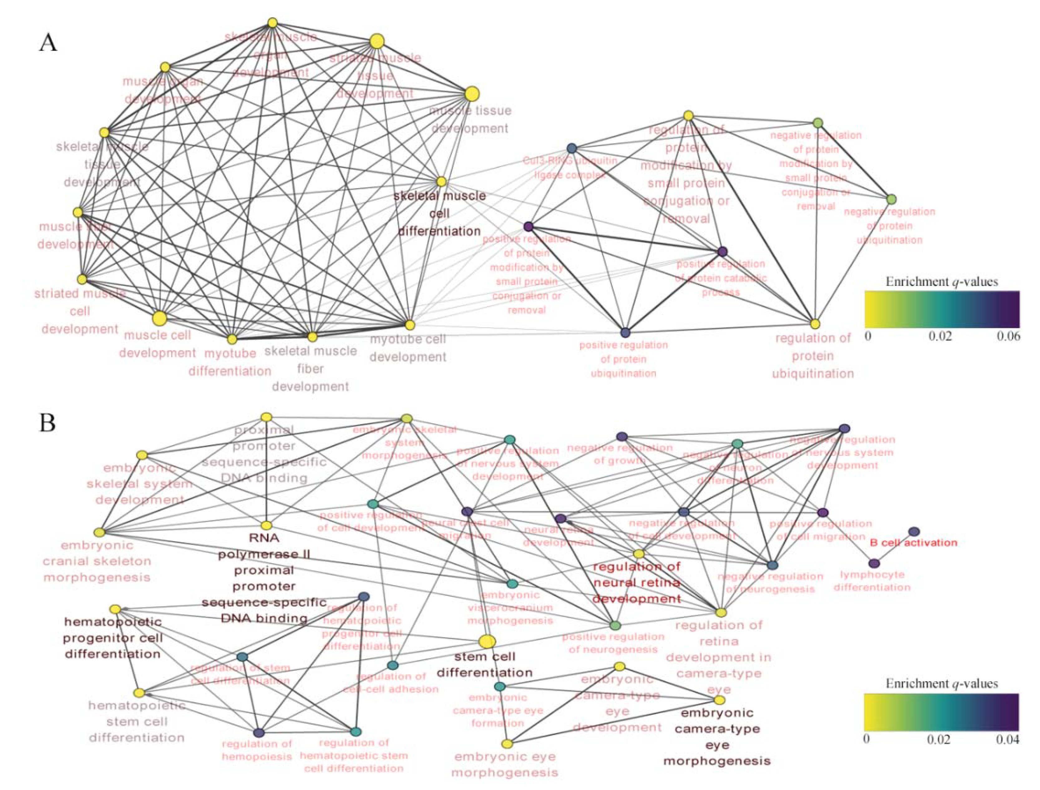 Fishes 07 00225 g005 550
