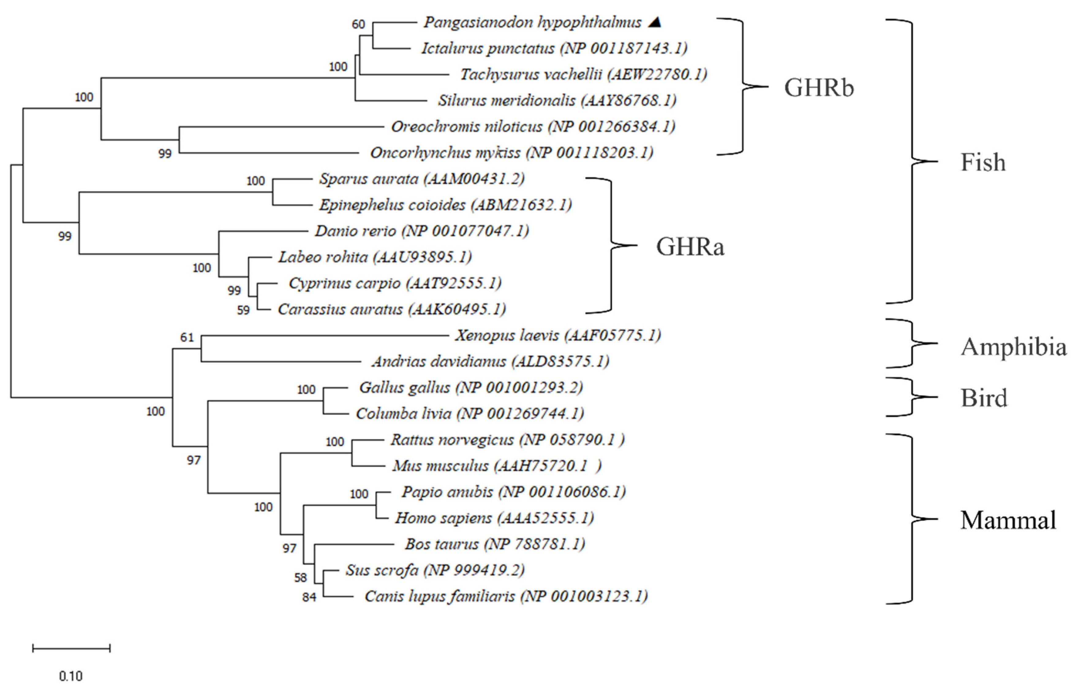 Fishes 07 00230 g002 550