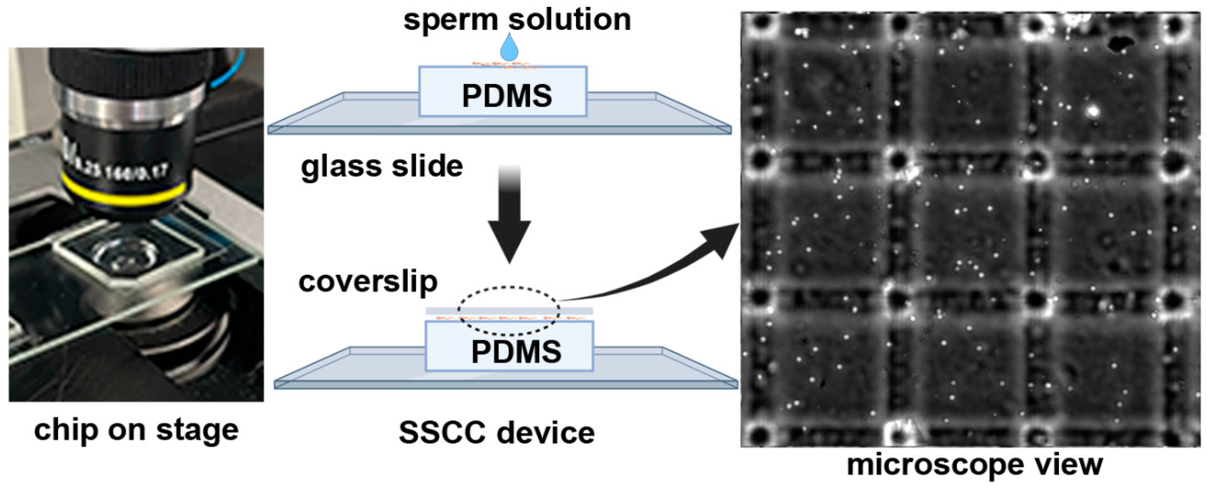 Fishes 07 00231 g002