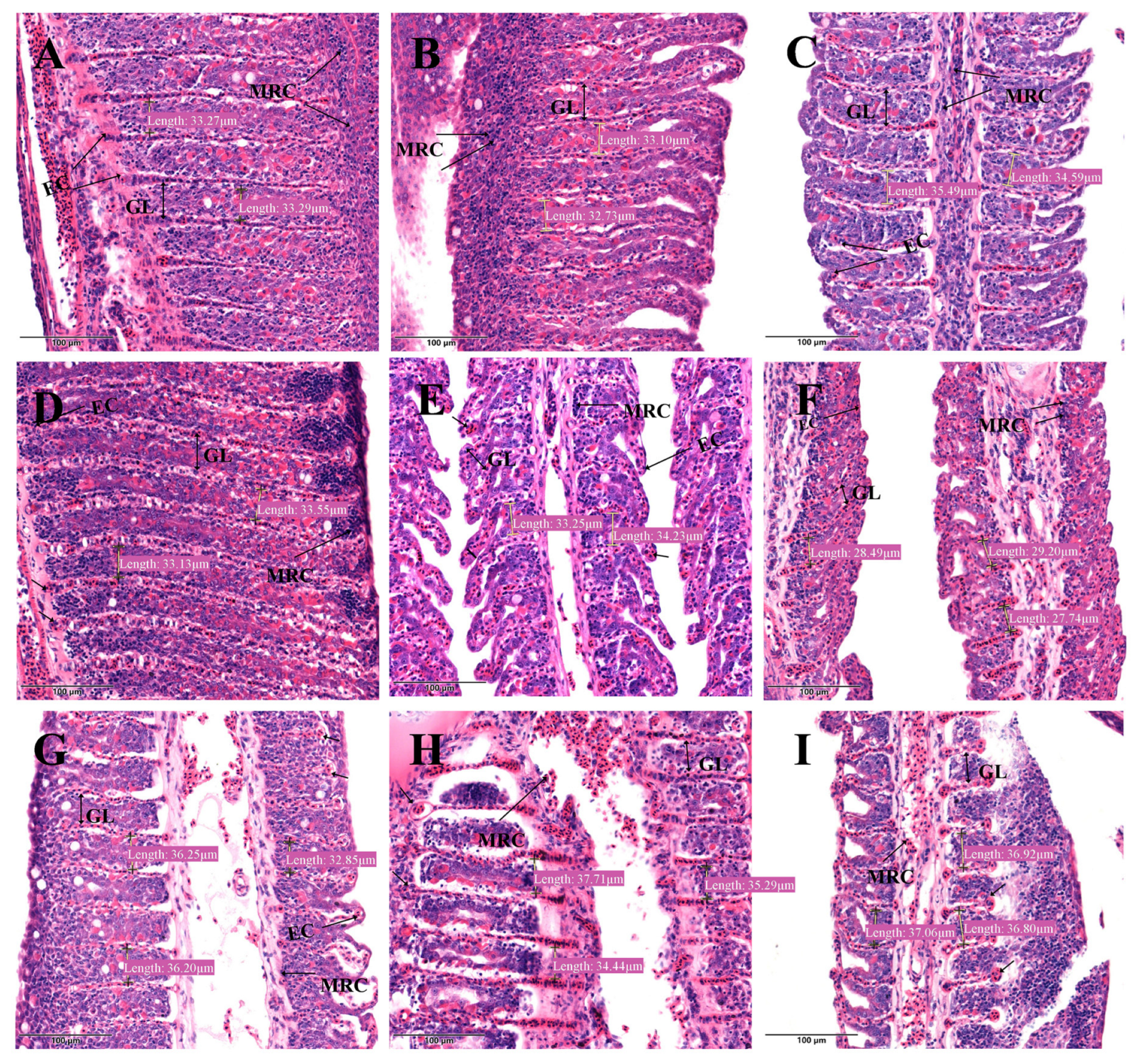 Fishes 07 00235 g004