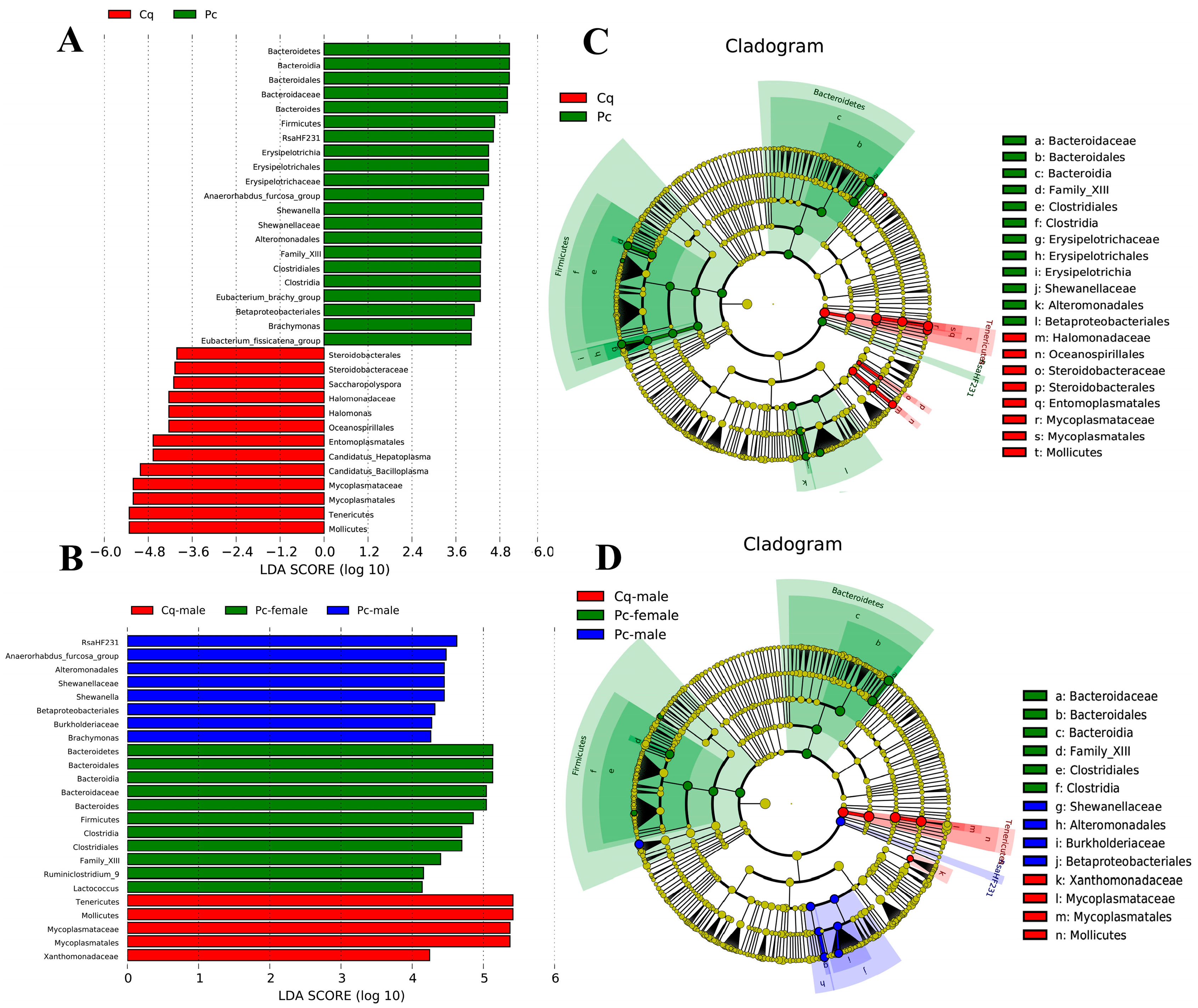 Fishes 07 00241 g004 Fishes 07 00241 g004