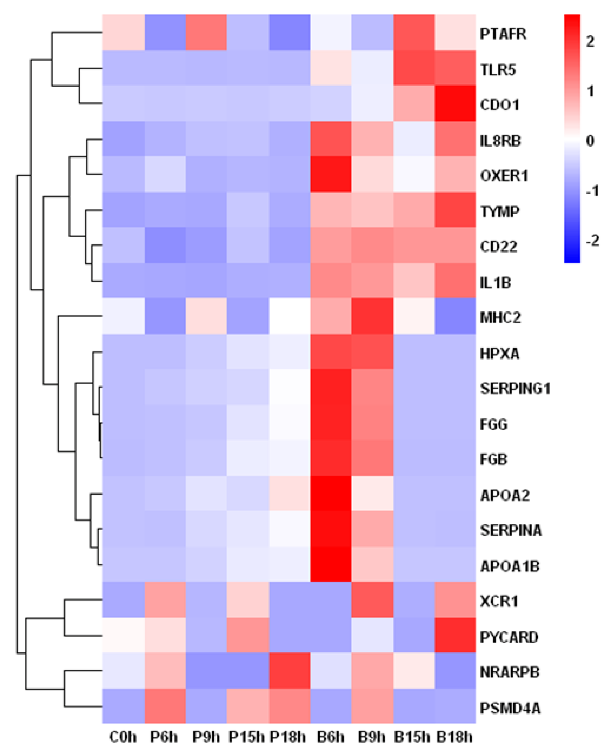 Fishes 07 00246 g002 Fishes 07 00246 g002