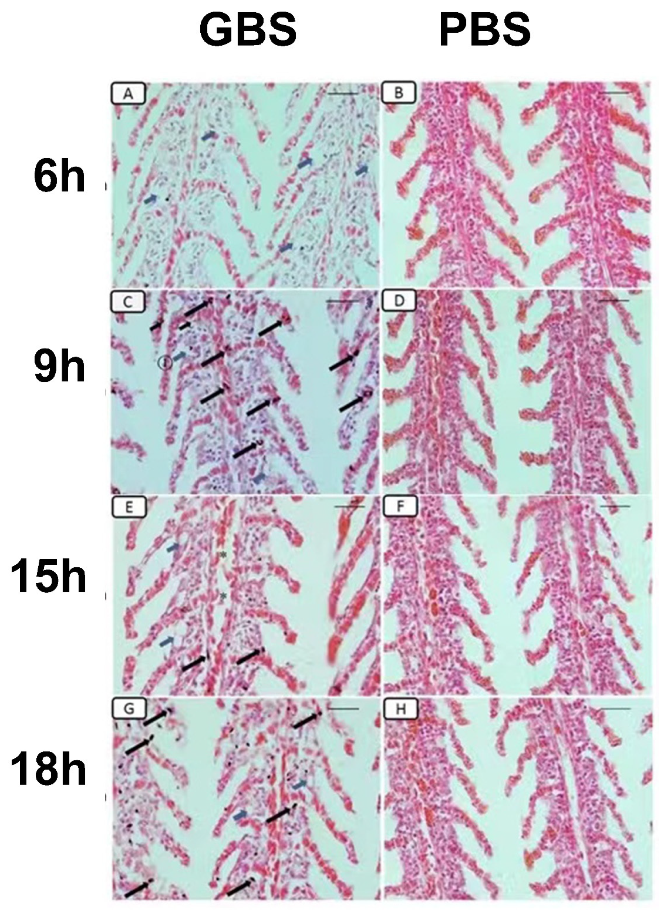 Fishes 07 00246 g007 Fishes 07 00246 g007