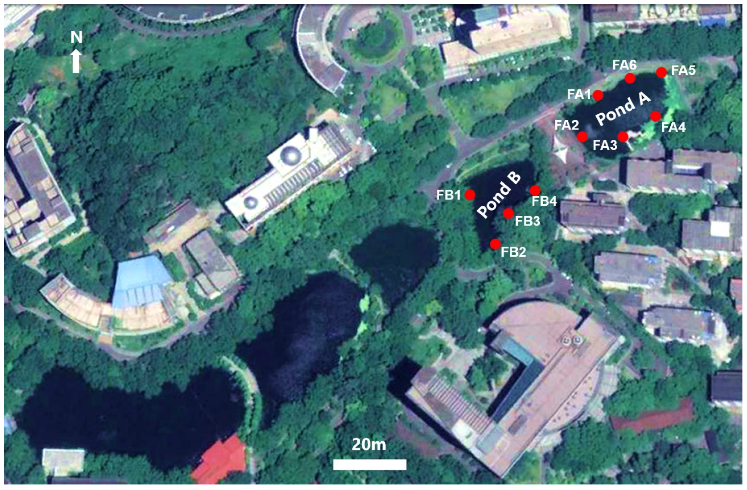 Fishes 07 00257 g001 Fishes 07 00257 g001