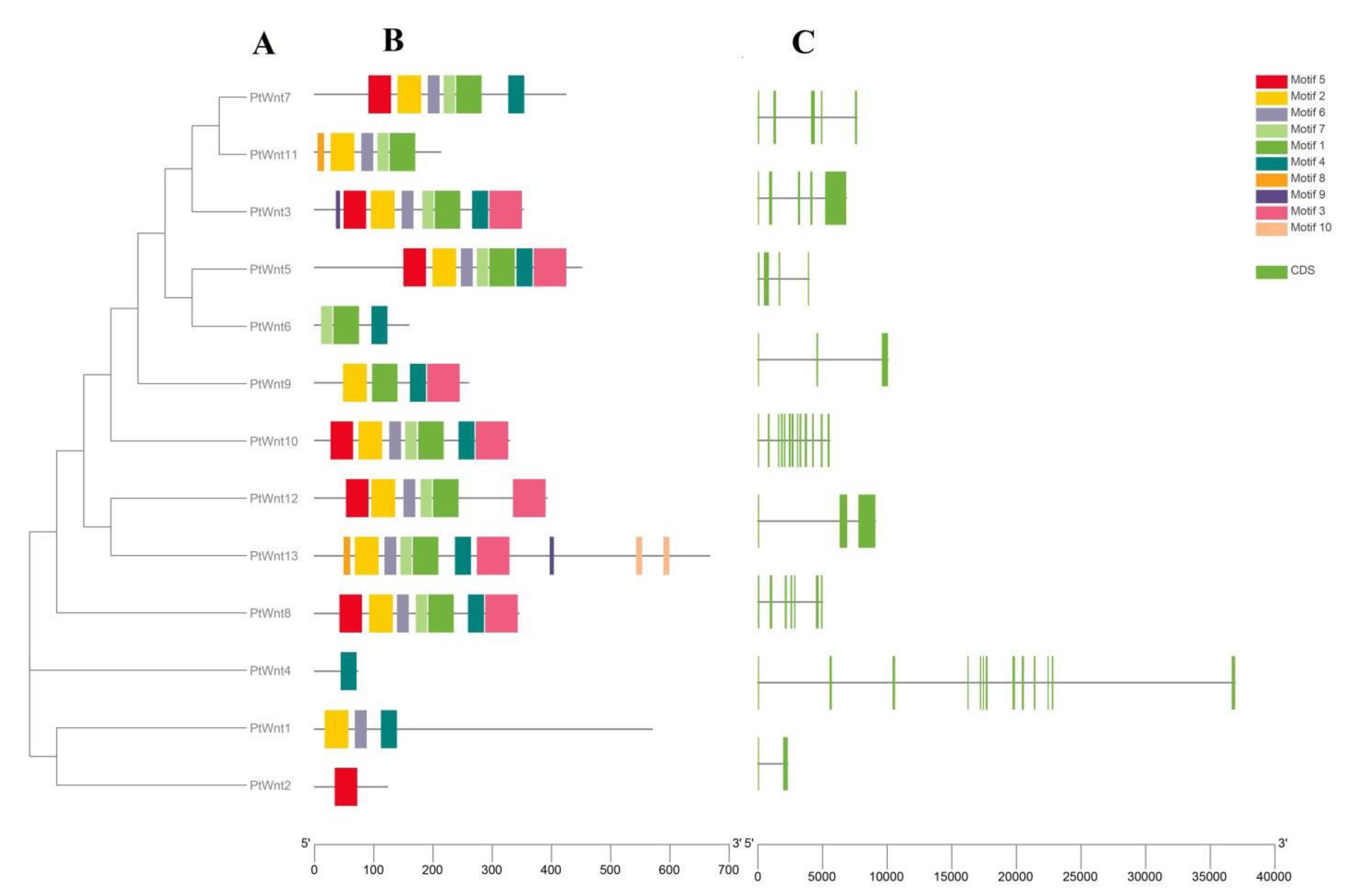 Fishes 07 00258 g003 Fishes 07 00258 g003