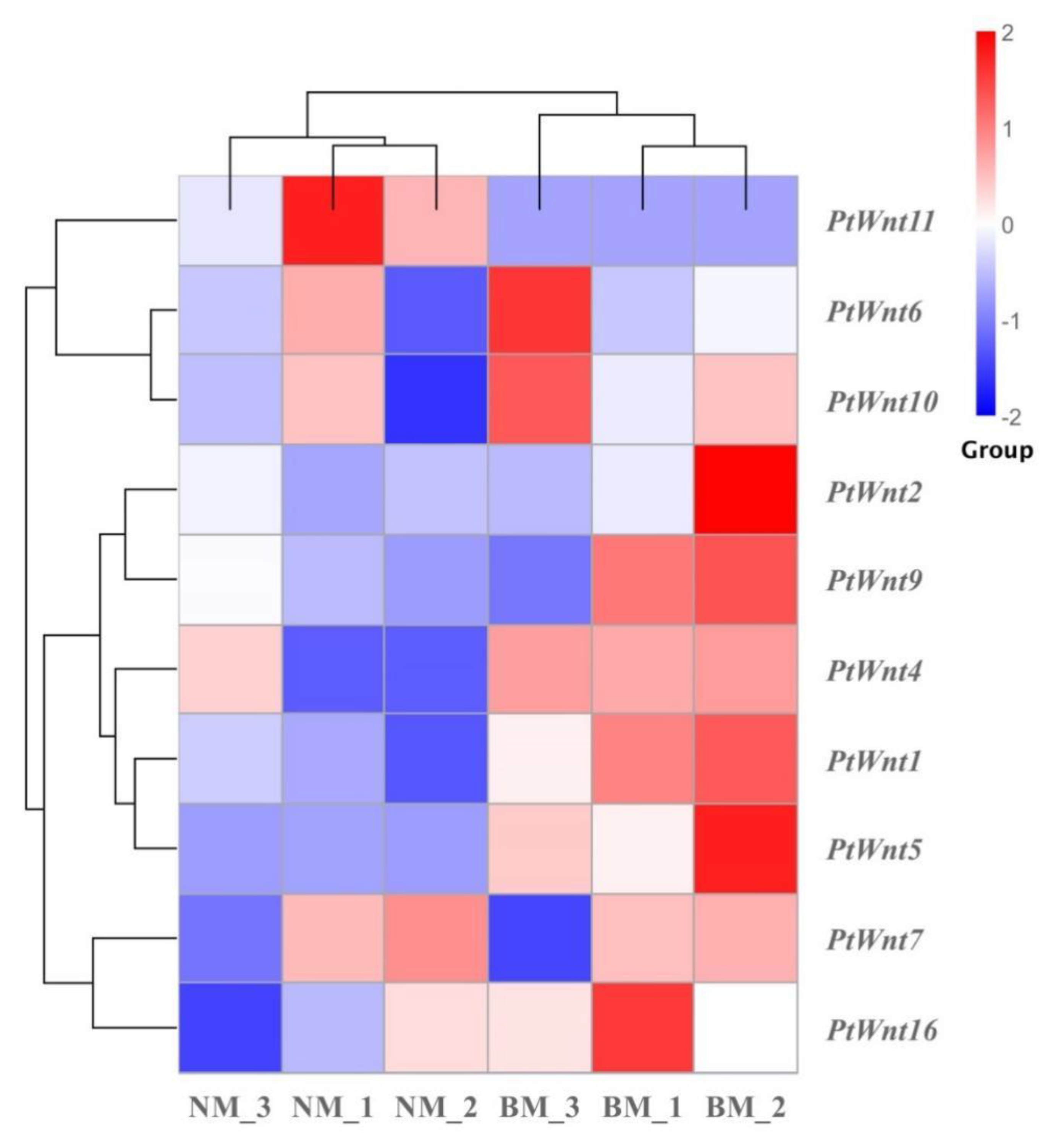 Fishes 07 00258 g006 Fishes 07 00258 g006