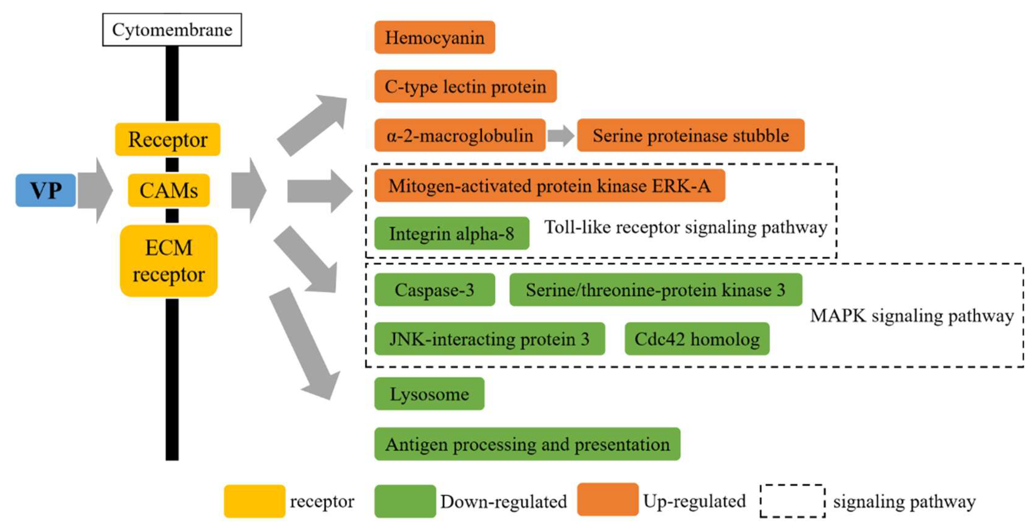 Fishes 07 00259 g006