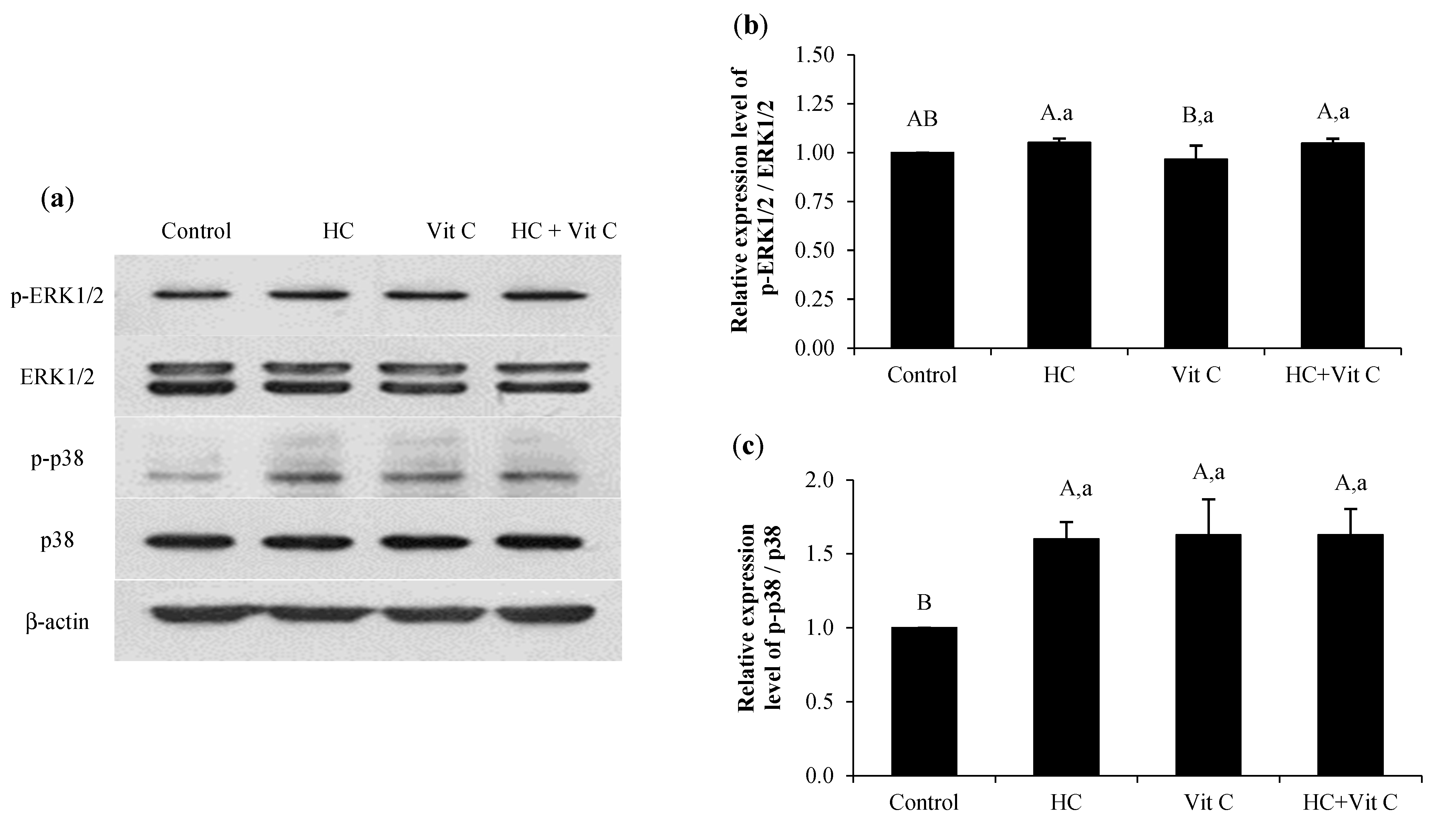 Fishes 07 00265 g007 Fishes 07 00265 g007