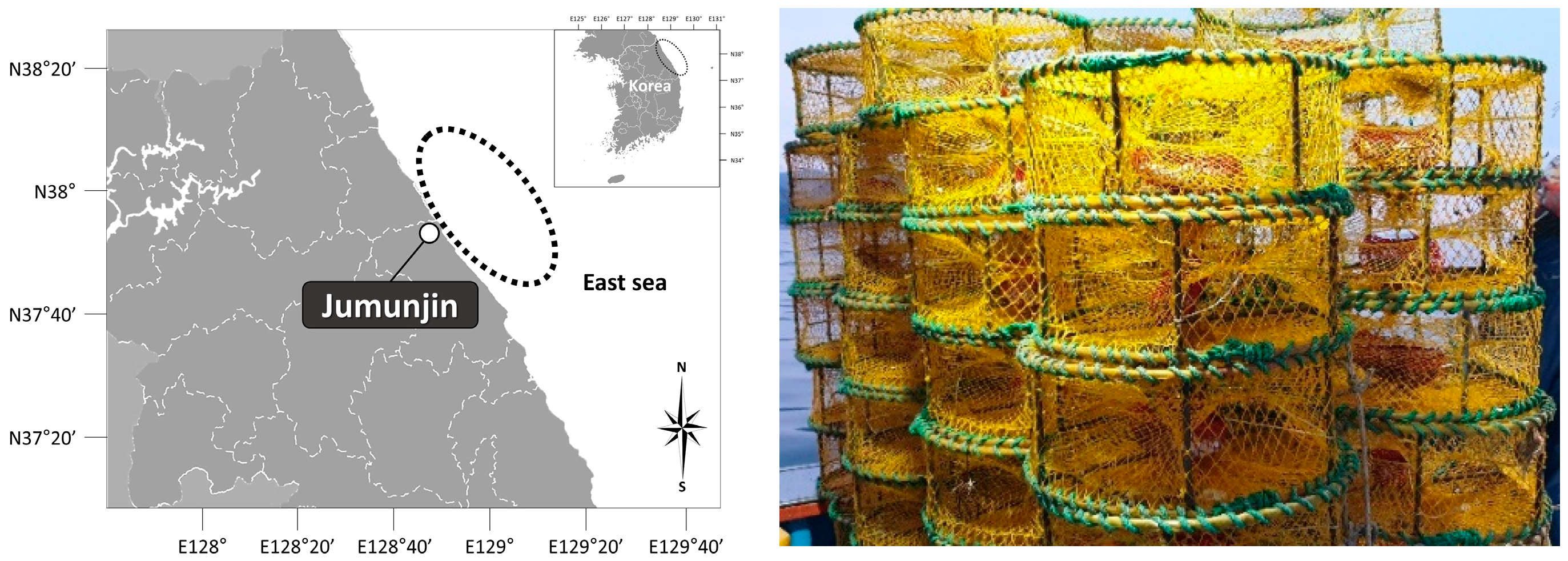 Fishes 07 00267 g001