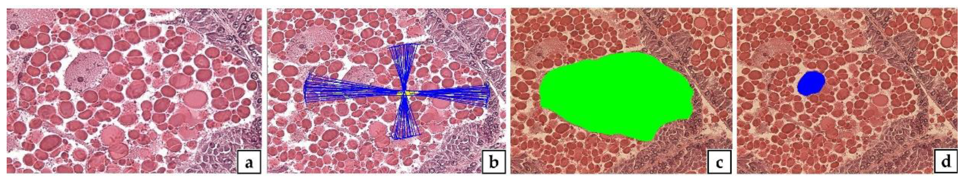 Fishes 07 00267 g002