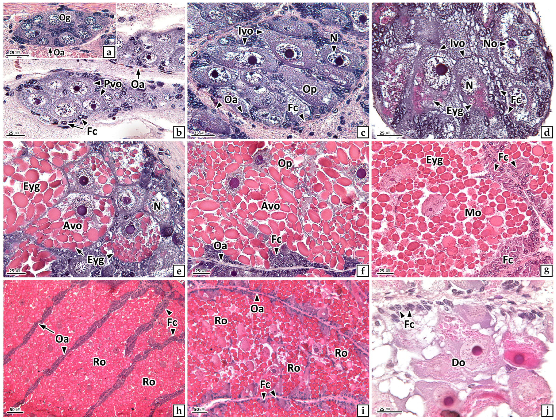 Fishes 07 00267 g004