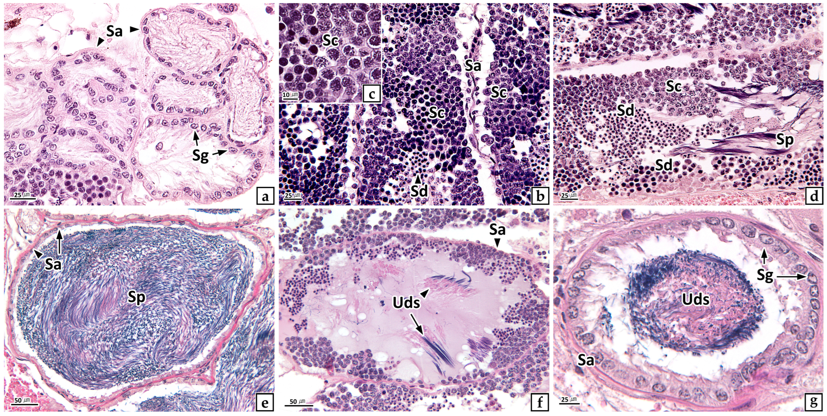 Fishes 07 00267 g006