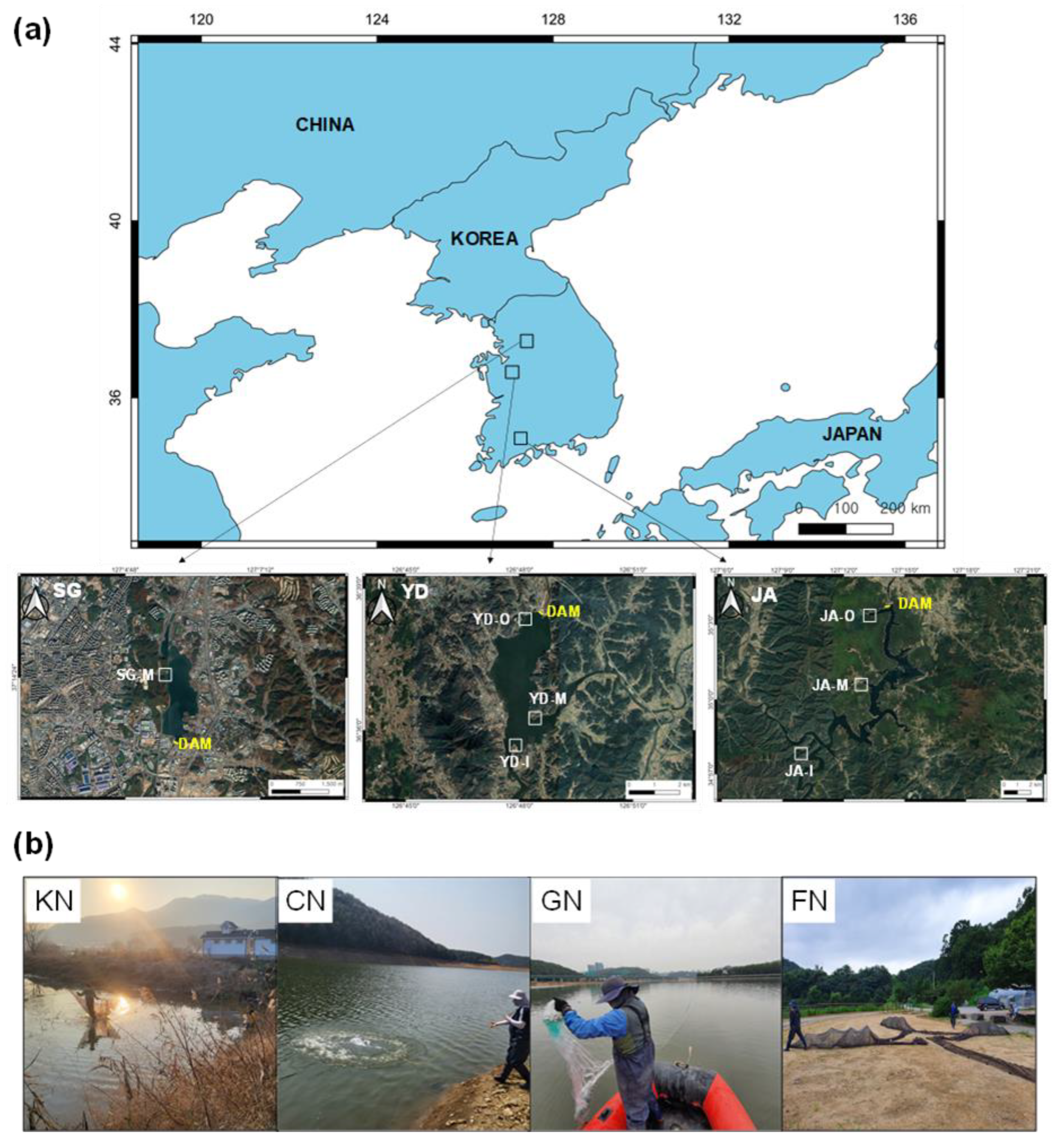 Fishes 07 00275 g001 Fishes 07 00275 g001