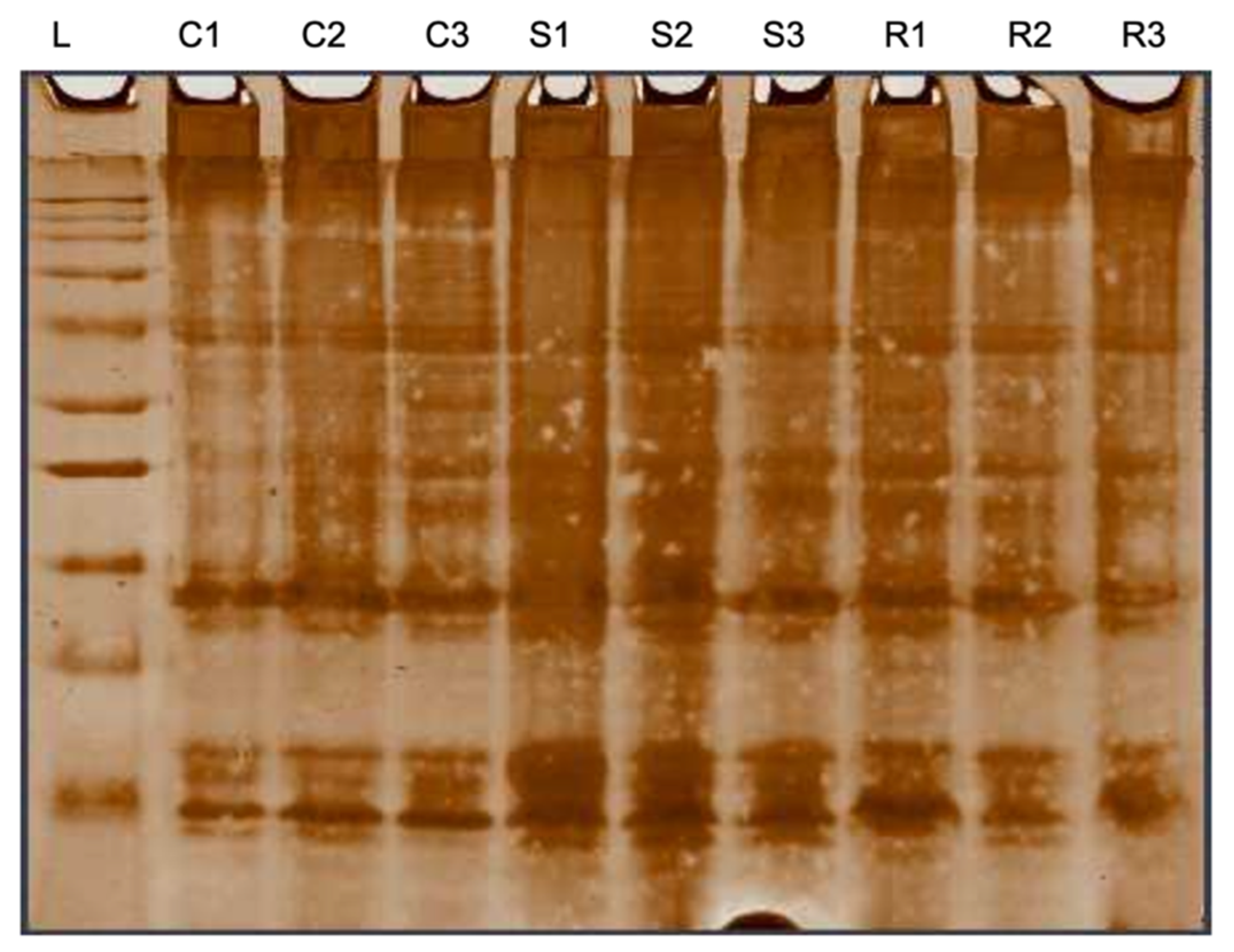 Fishes 07 00278 g0a2 Fishes 07 00278 g0a2