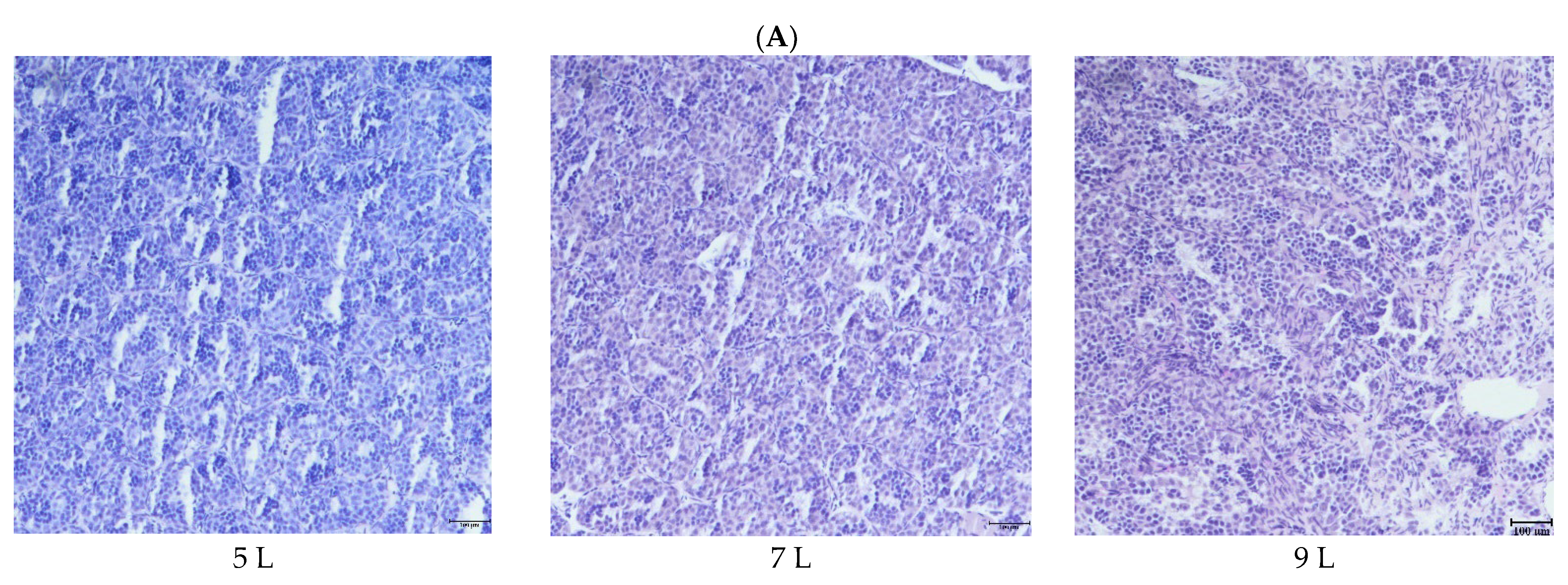 Fishes 07 00291 g001a Fishes 07 00291 g001a