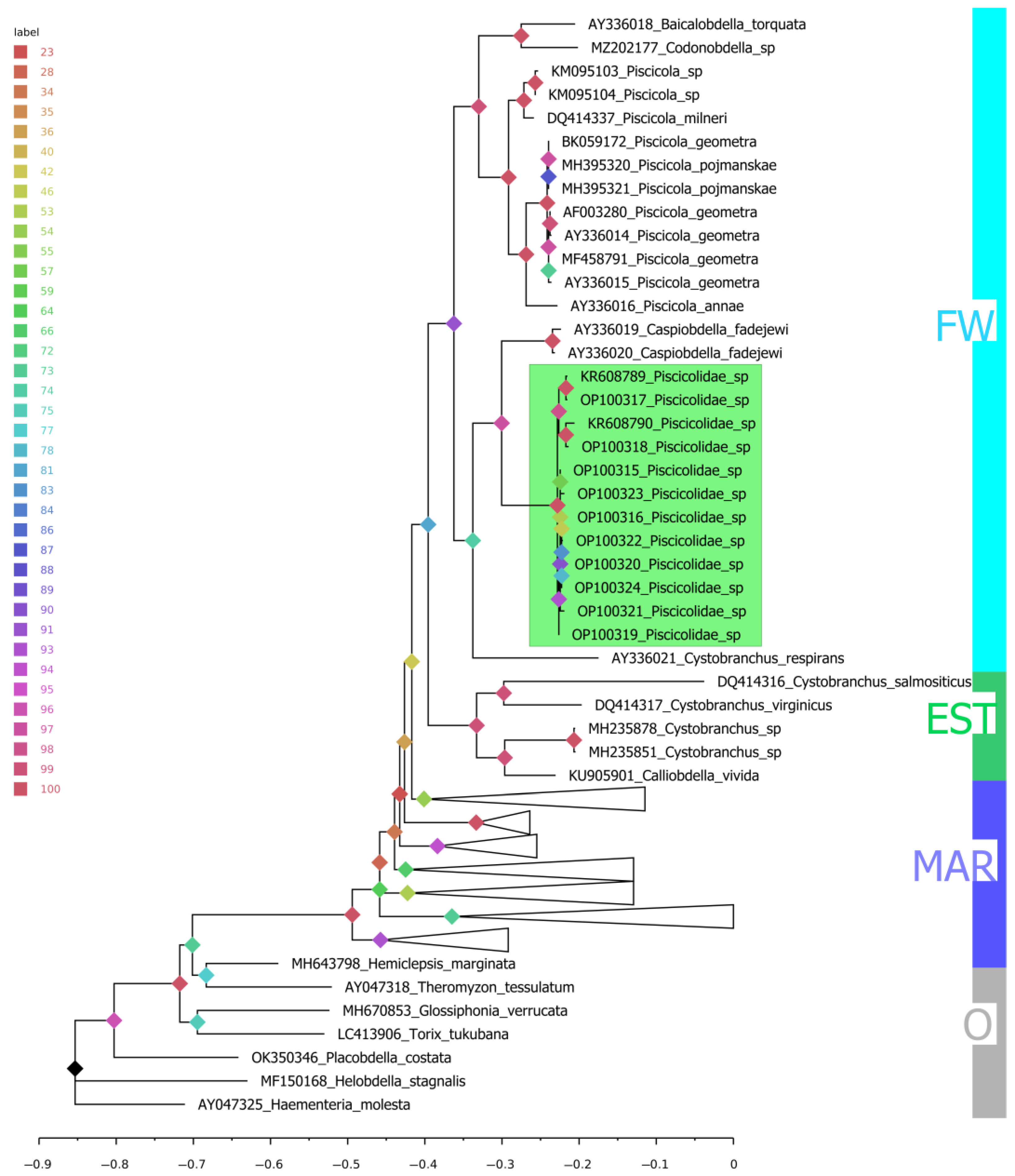 Fishes 07 00298 g005