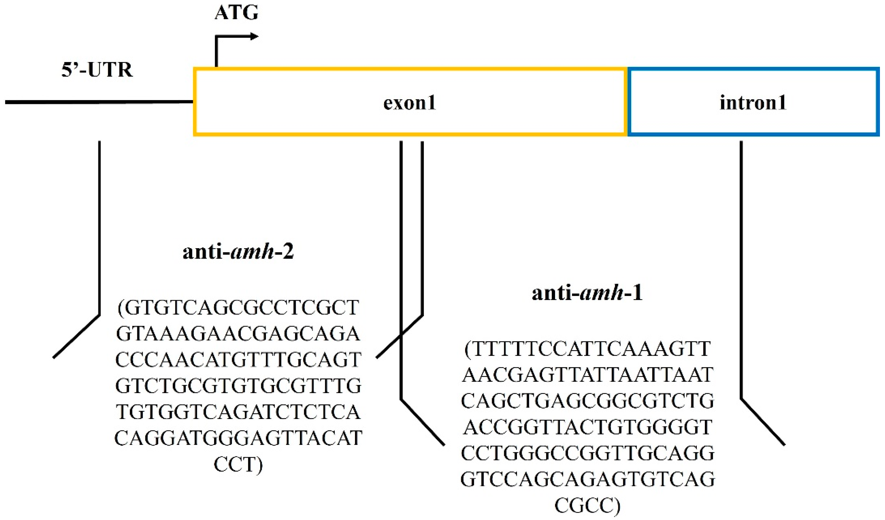 Fishes 07 00299 g001 Fishes 07 00299 g001