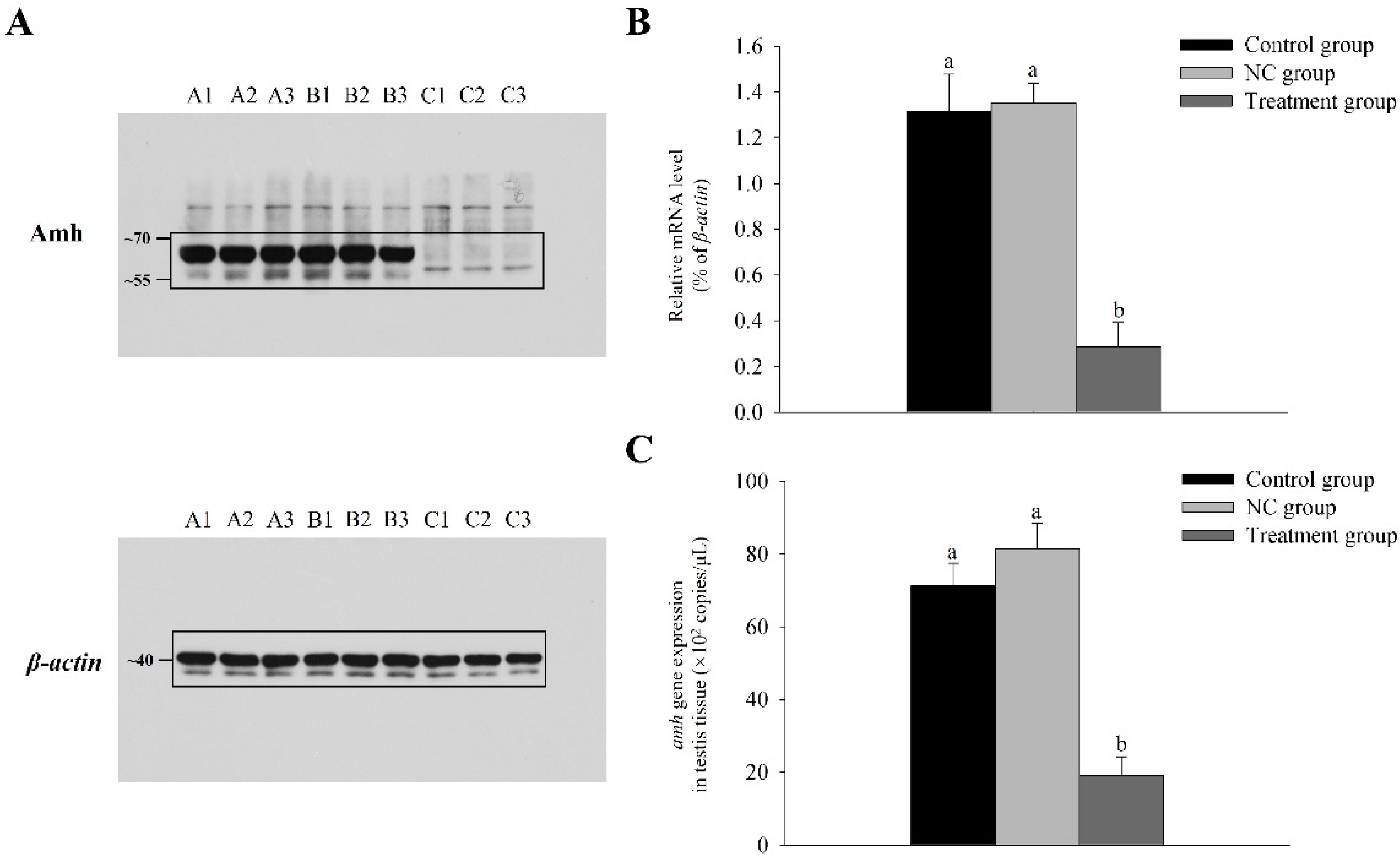 Fishes 07 00299 g002 Fishes 07 00299 g002