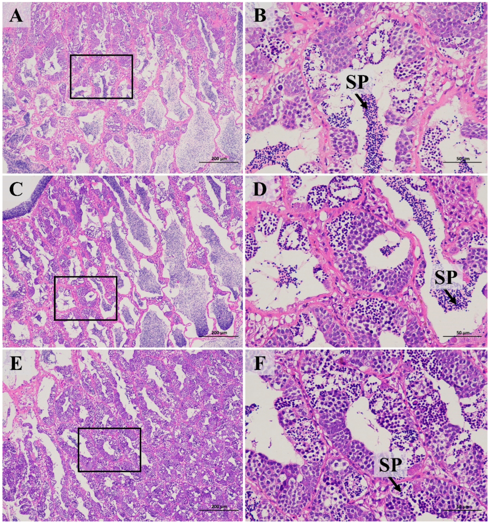 Fishes 07 00299 g004 Fishes 07 00299 g004