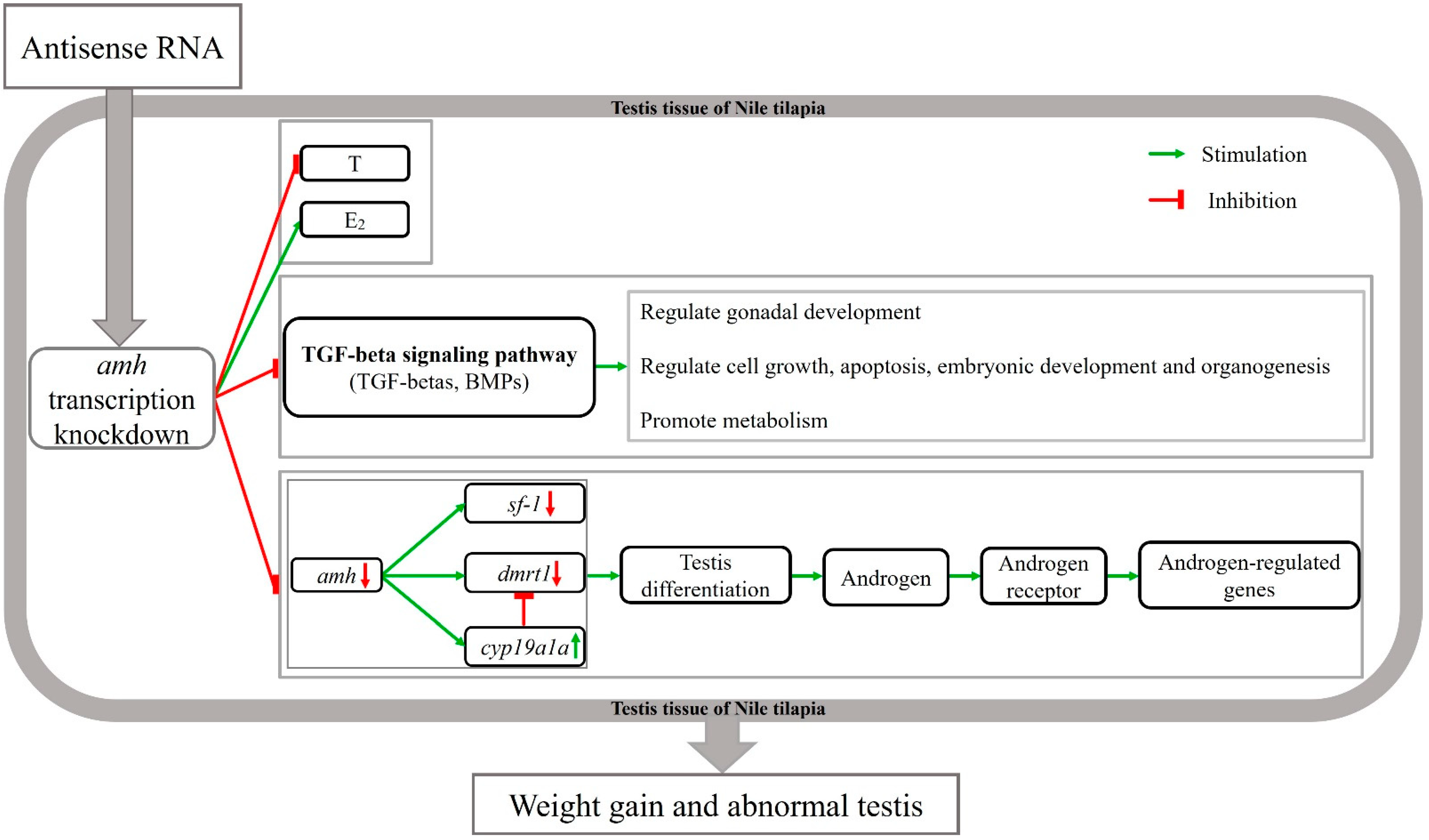 Fishes 07 00299 g009 Fishes 07 00299 g009