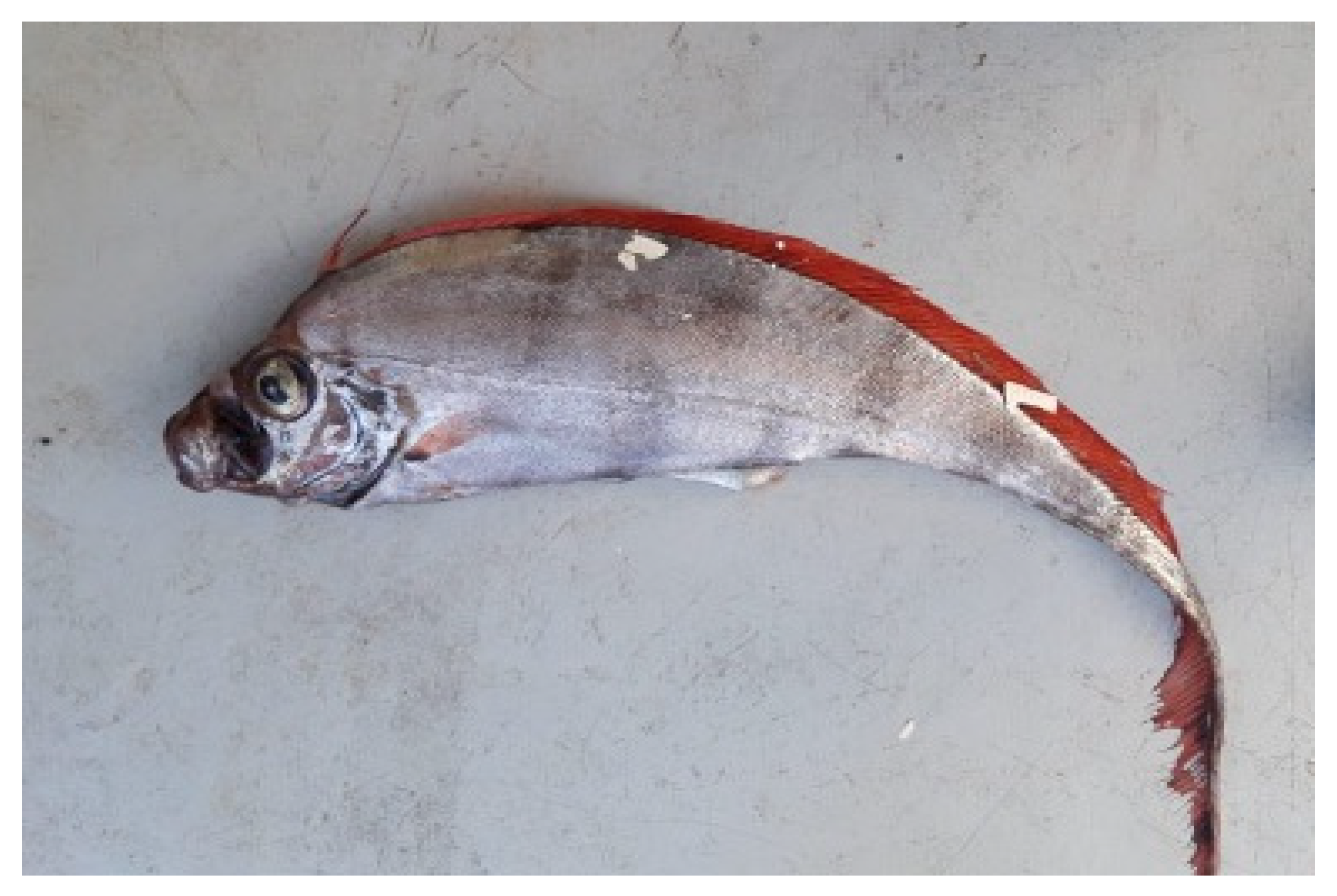 Fishes 07 00305 g002