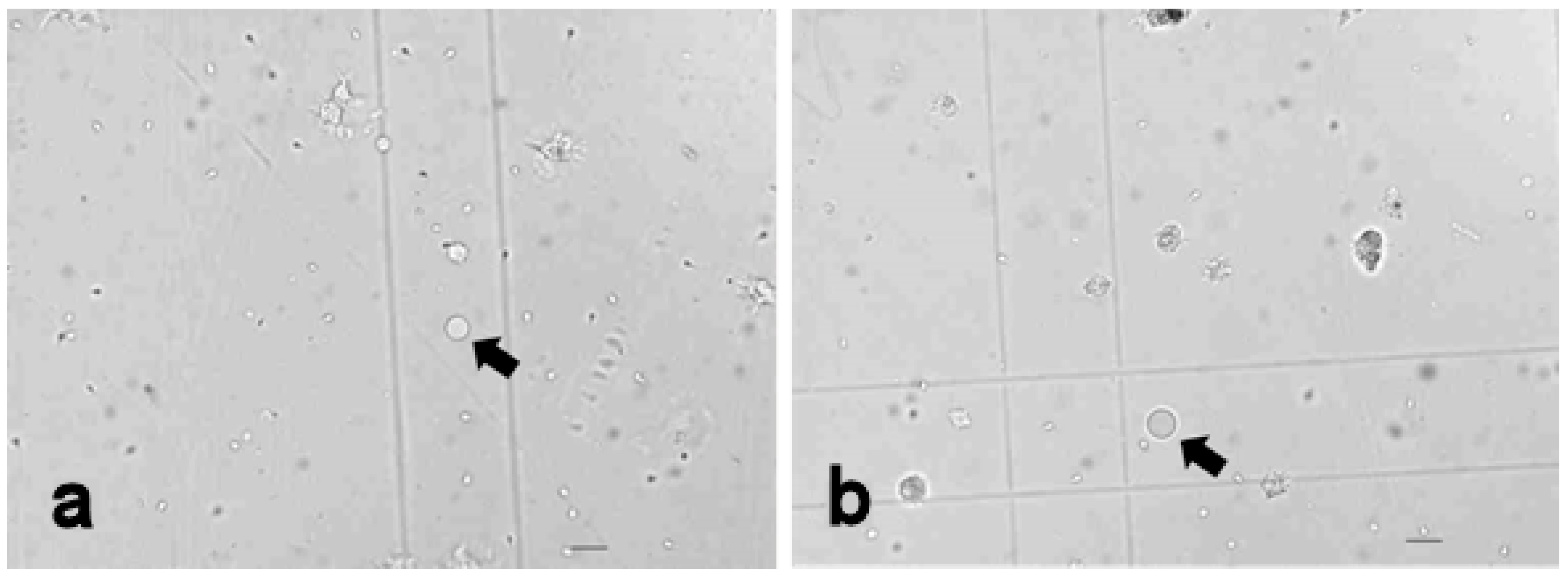 Fishes 07 00307 g007