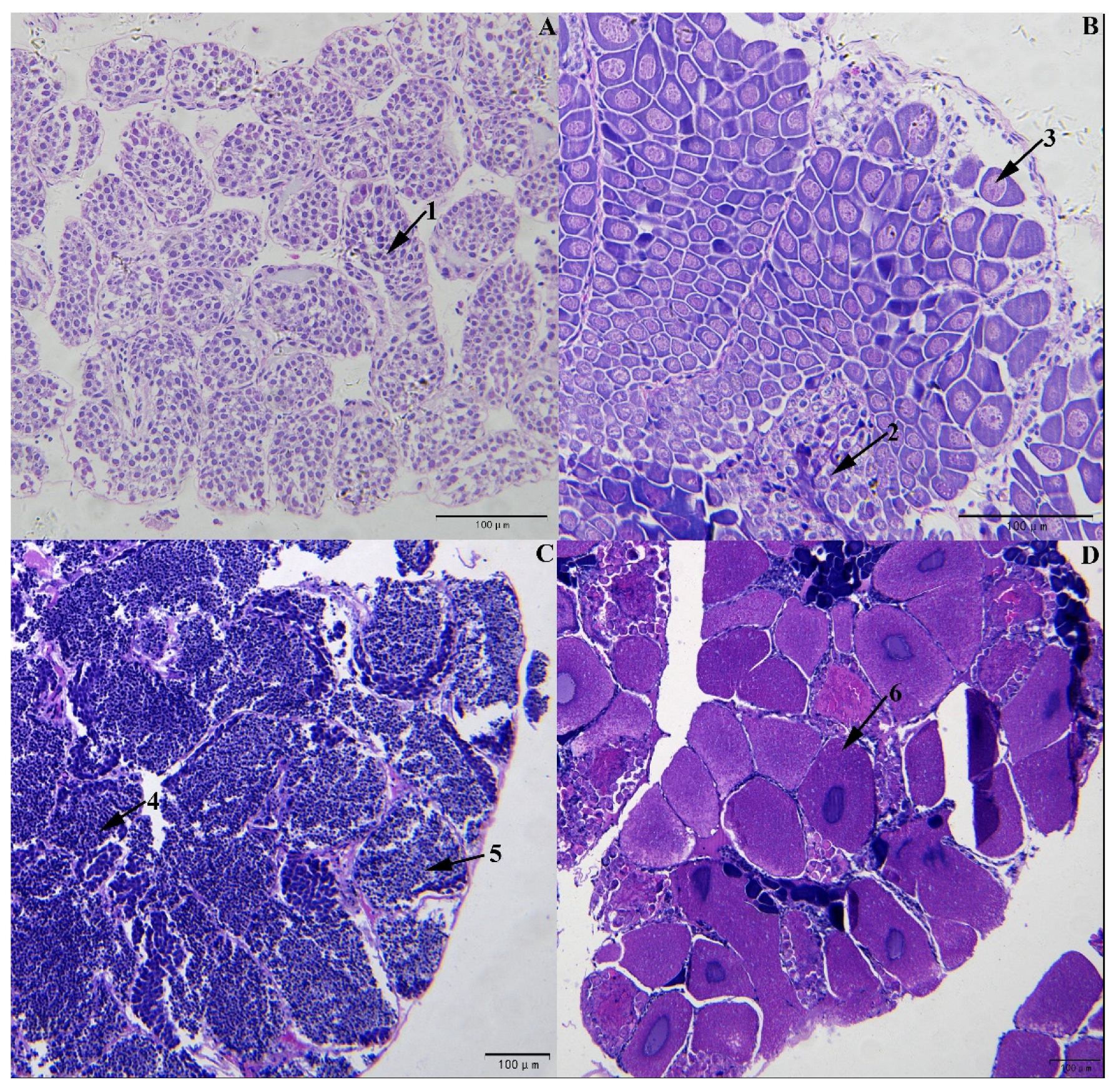 Fishes 07 00308 g001 Fishes 07 00308 g001