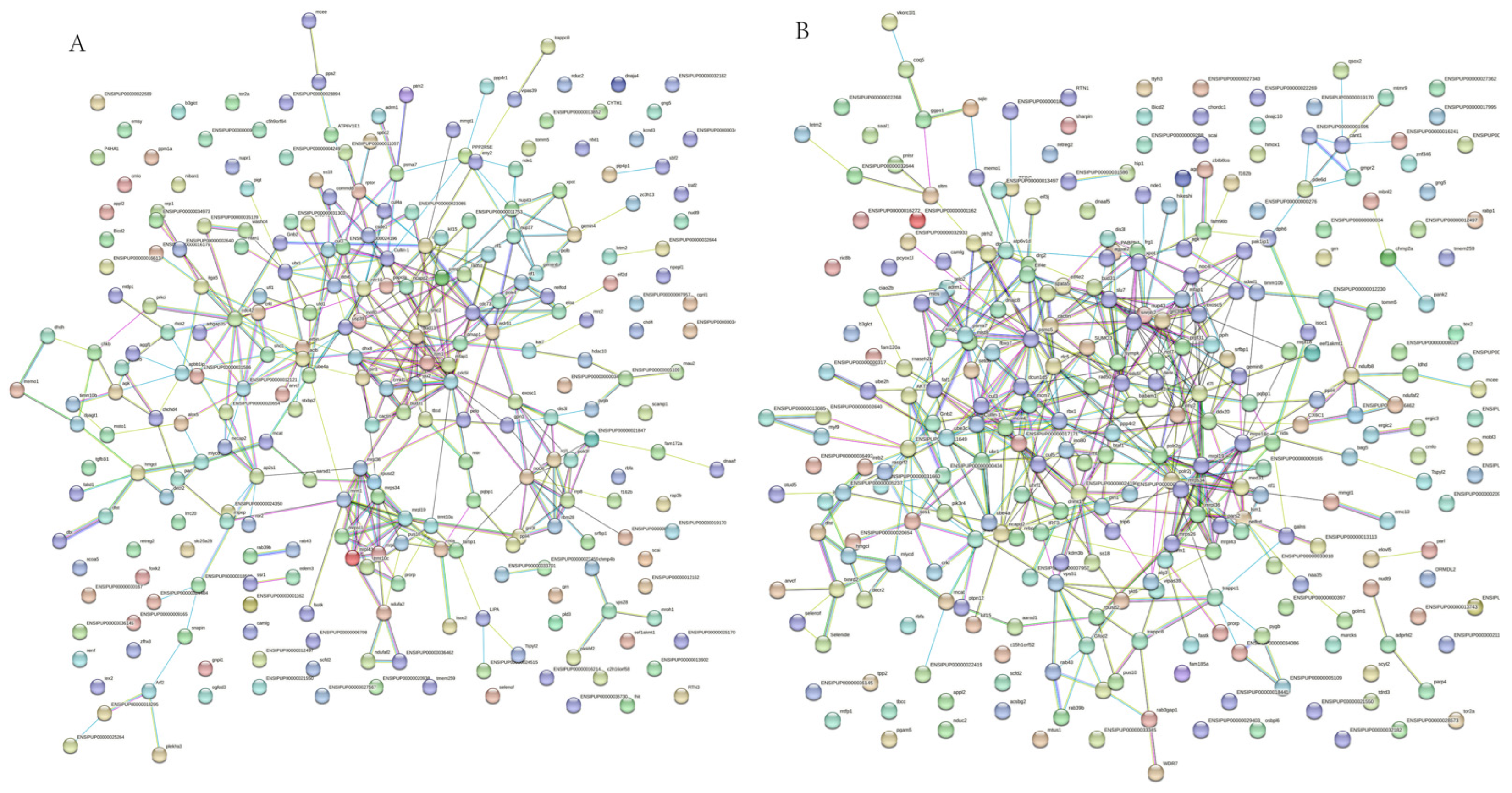 Fishes 07 00315 g004