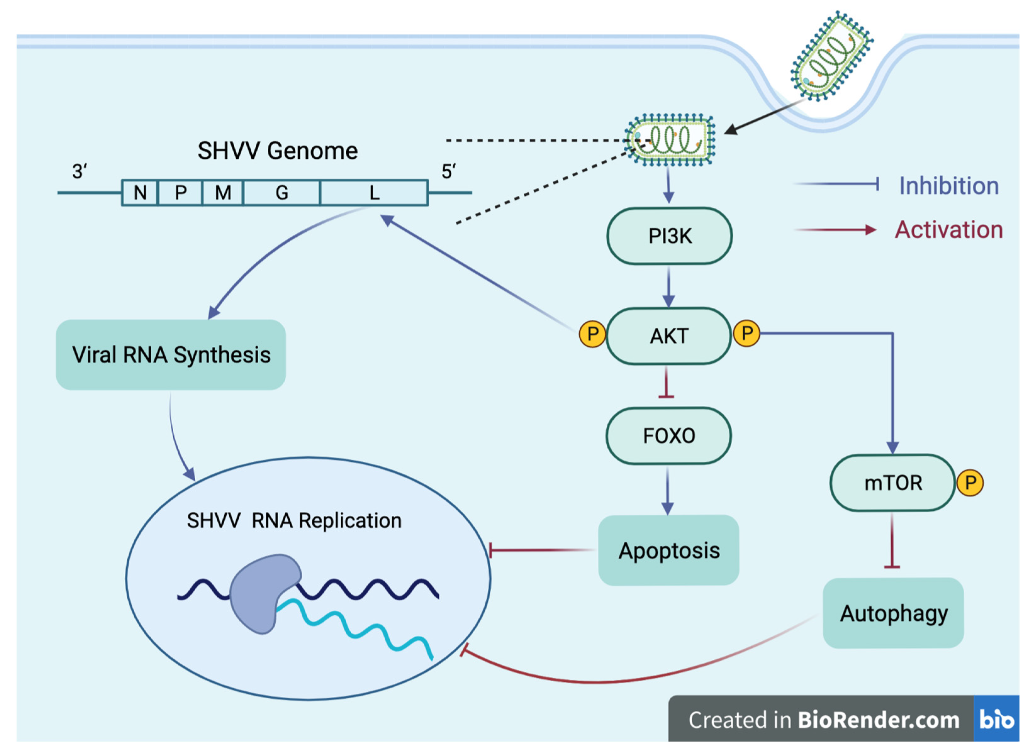 Fishes 07 00315 g005