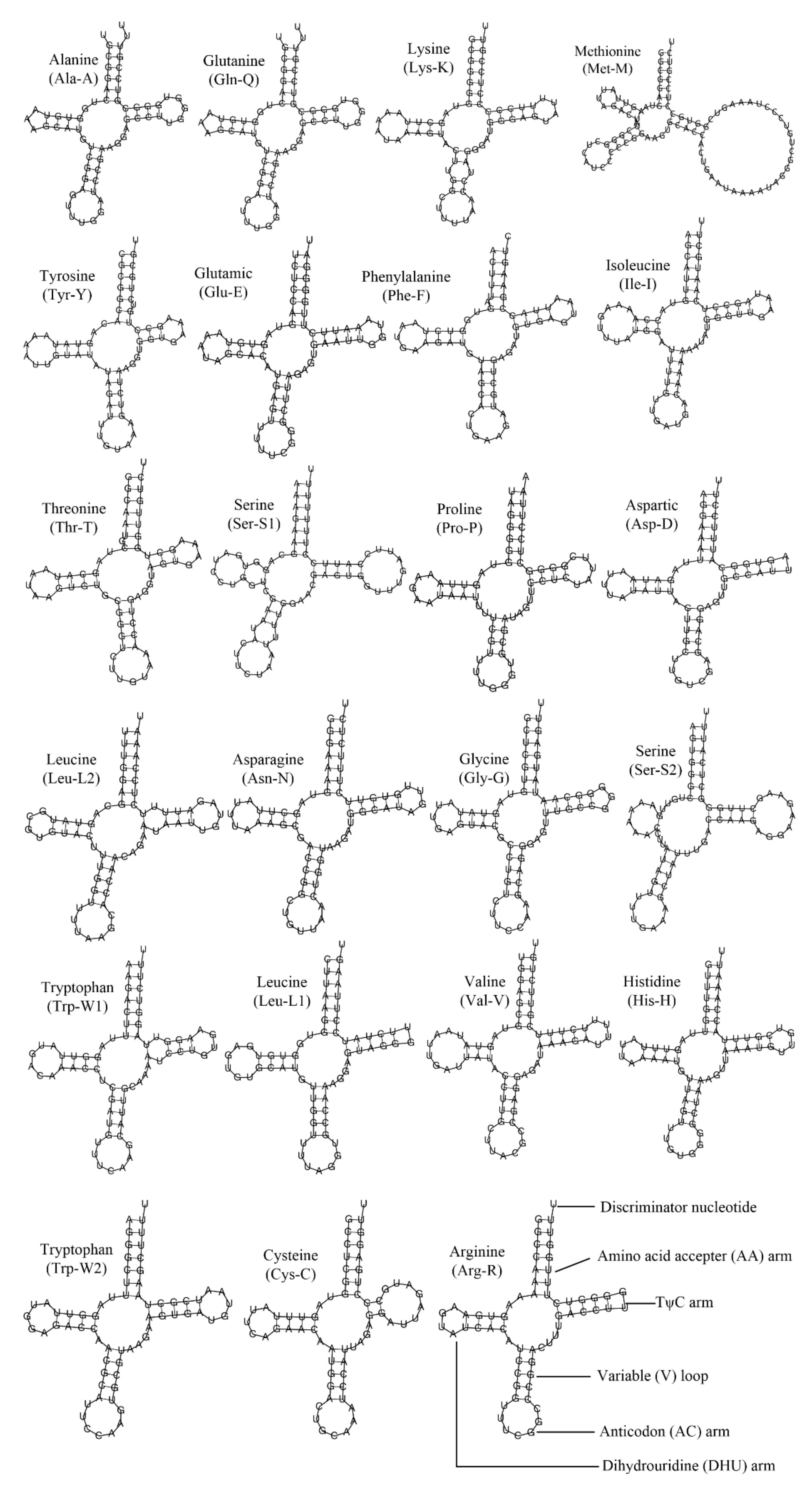 Fishes 07 00317 g003