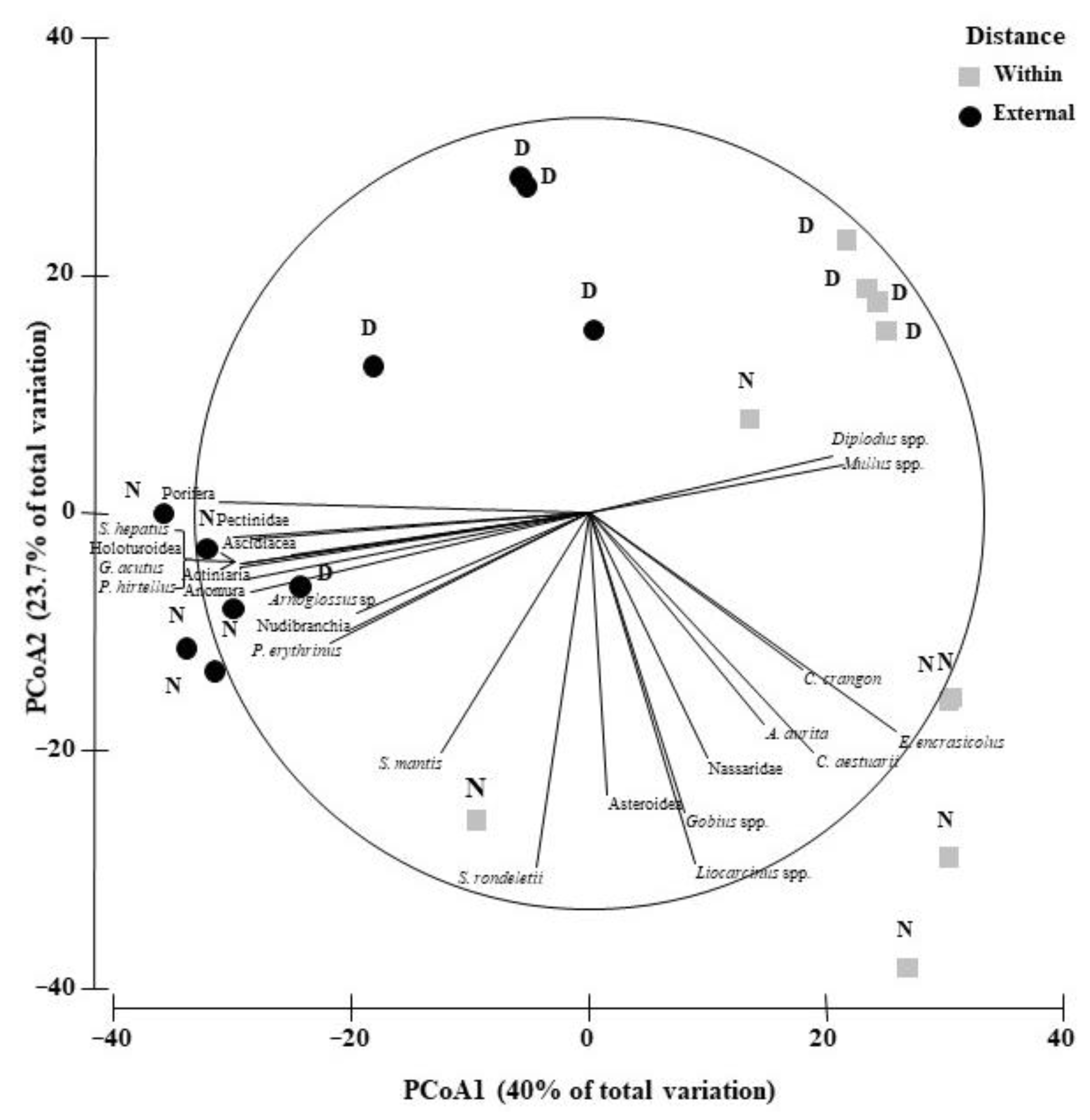 Fishes 07 00320 g005 Fishes 07 00320 g005