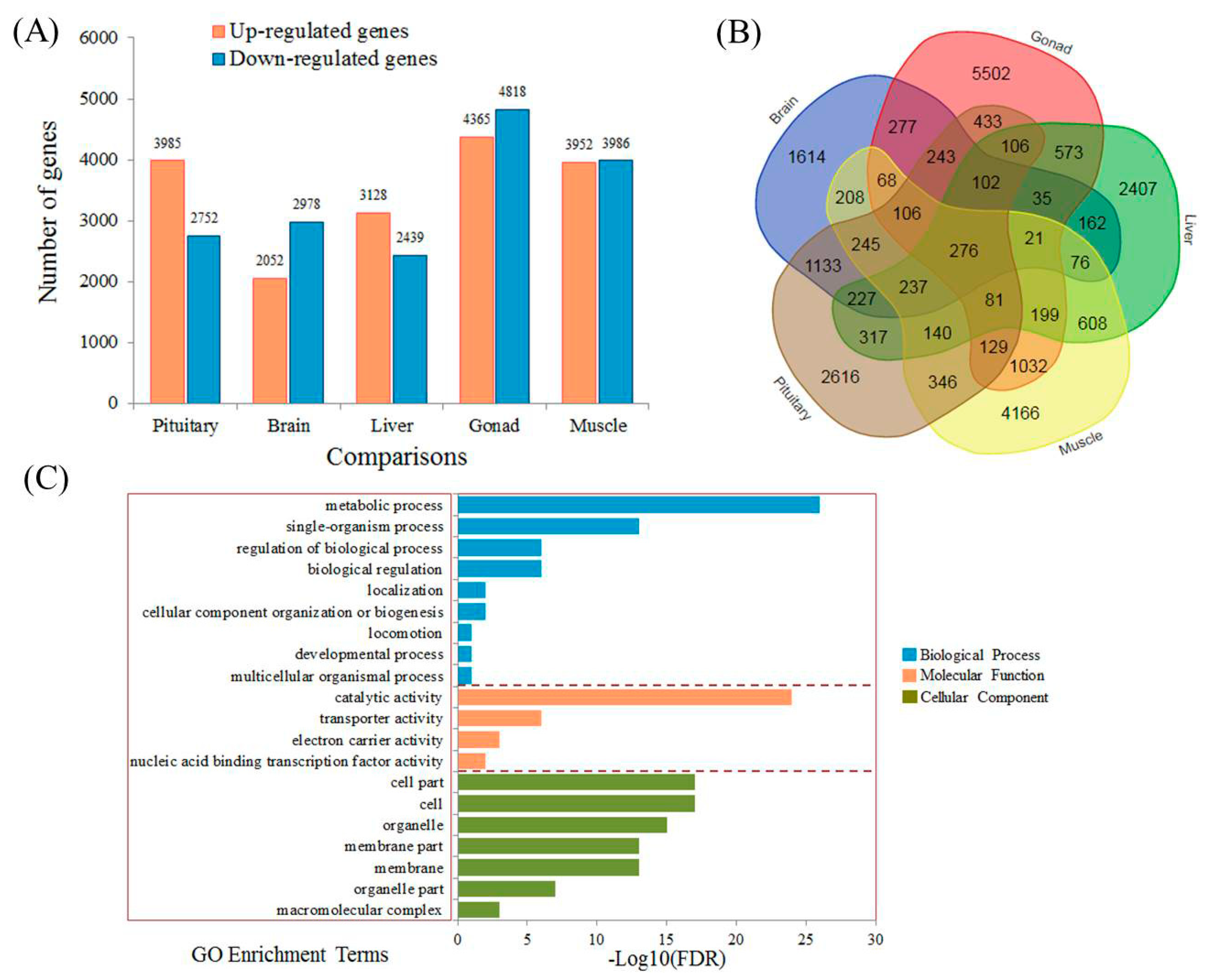 Fishes 07 00322 g002