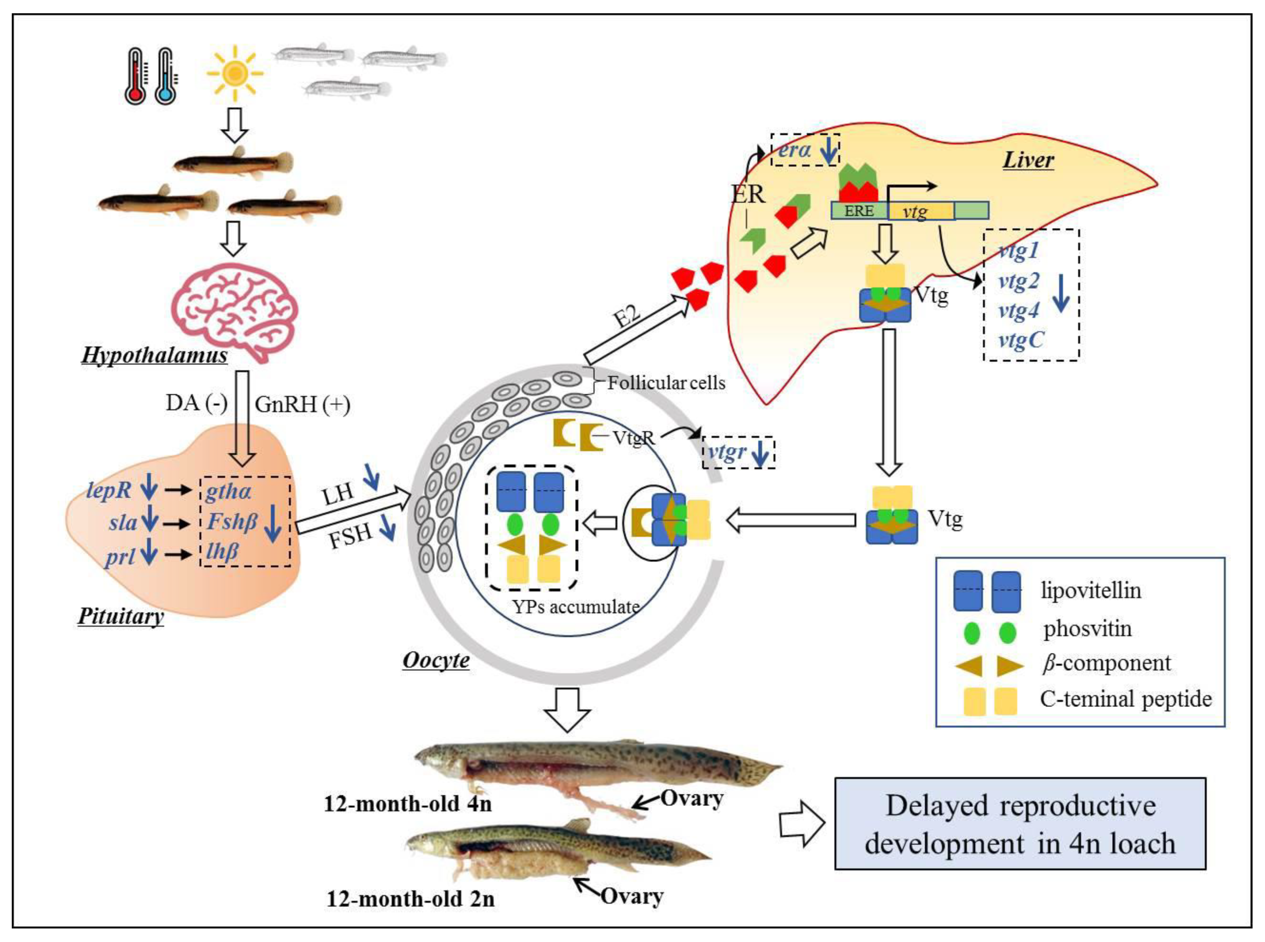 Fishes 07 00322 g003