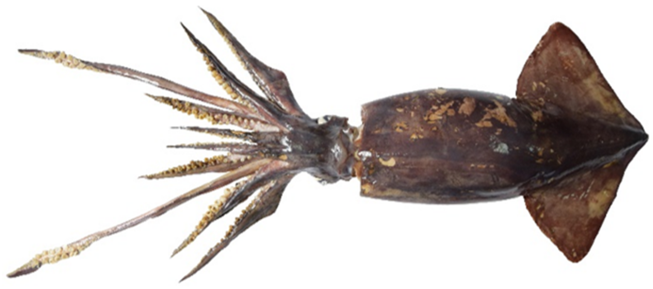 Fishes 07 00324 g002