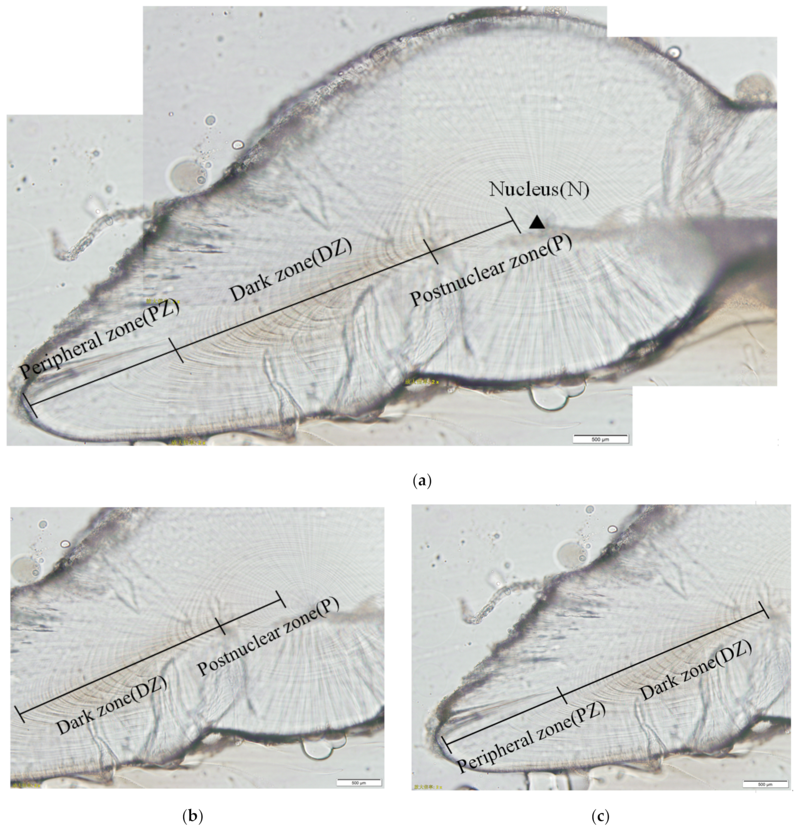 Fishes 07 00324 g005