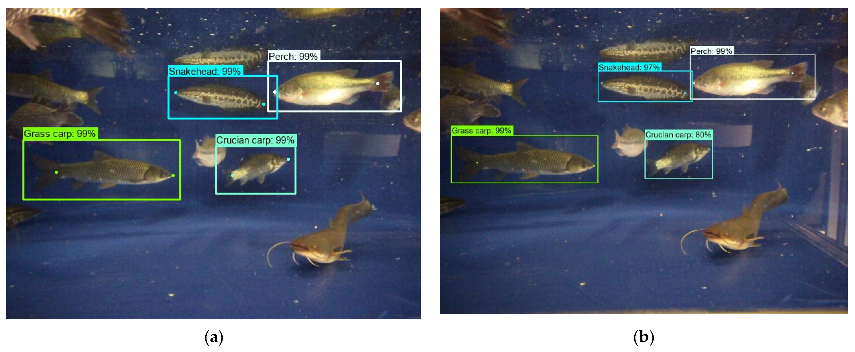 Fishes 07 00326 g007a