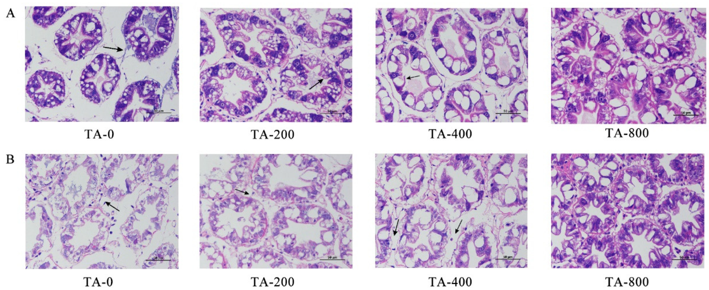 Fishes 07 00327 g002 Fishes 07 00327 g002